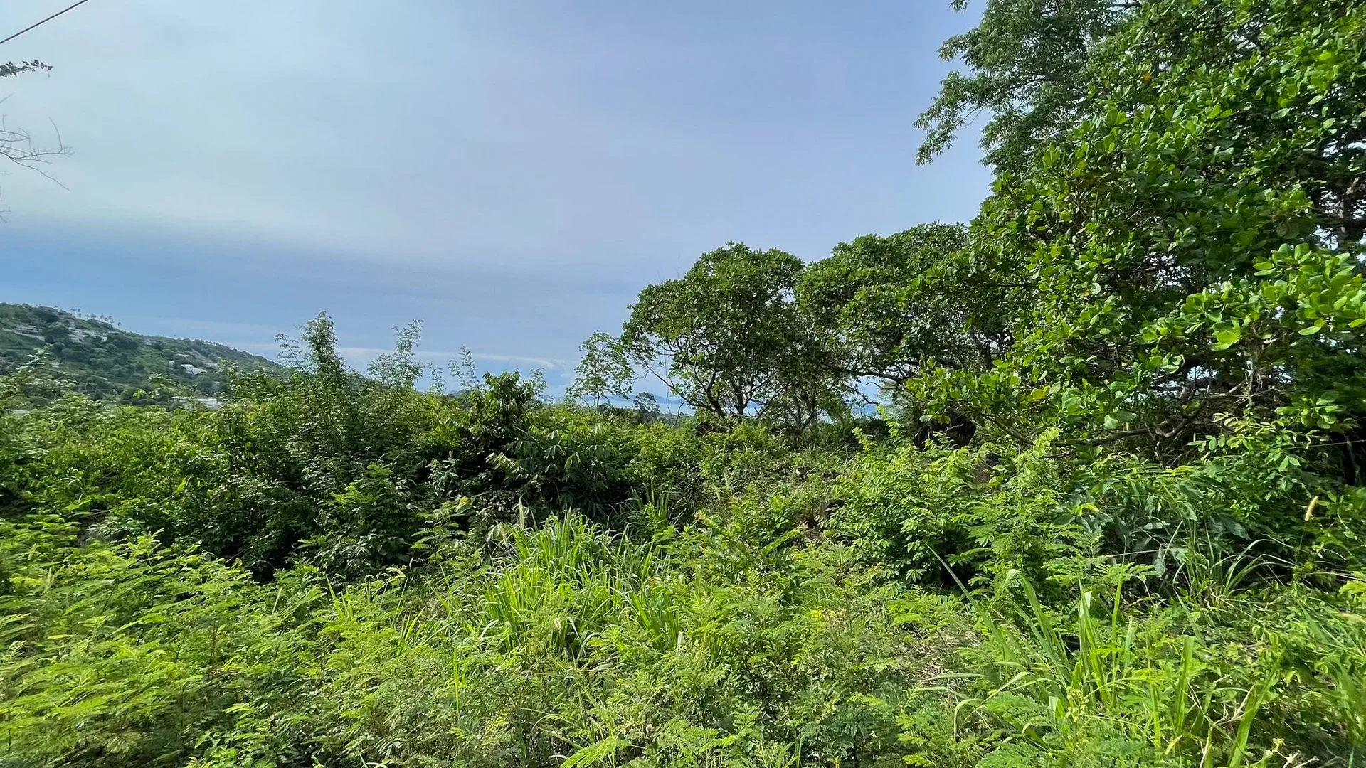 Prime 1,450 sqm Hillside Land for Sale in Bo Phut, Koh Samui - Bo Phut, Ko Samui, Thailand