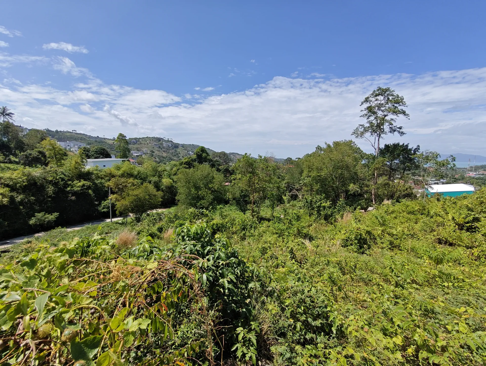 Prime 1,450 sqm Hillside Land for Sale in Bo Phut, Koh Samui - Bo Phut, Ko Samui, Thailand