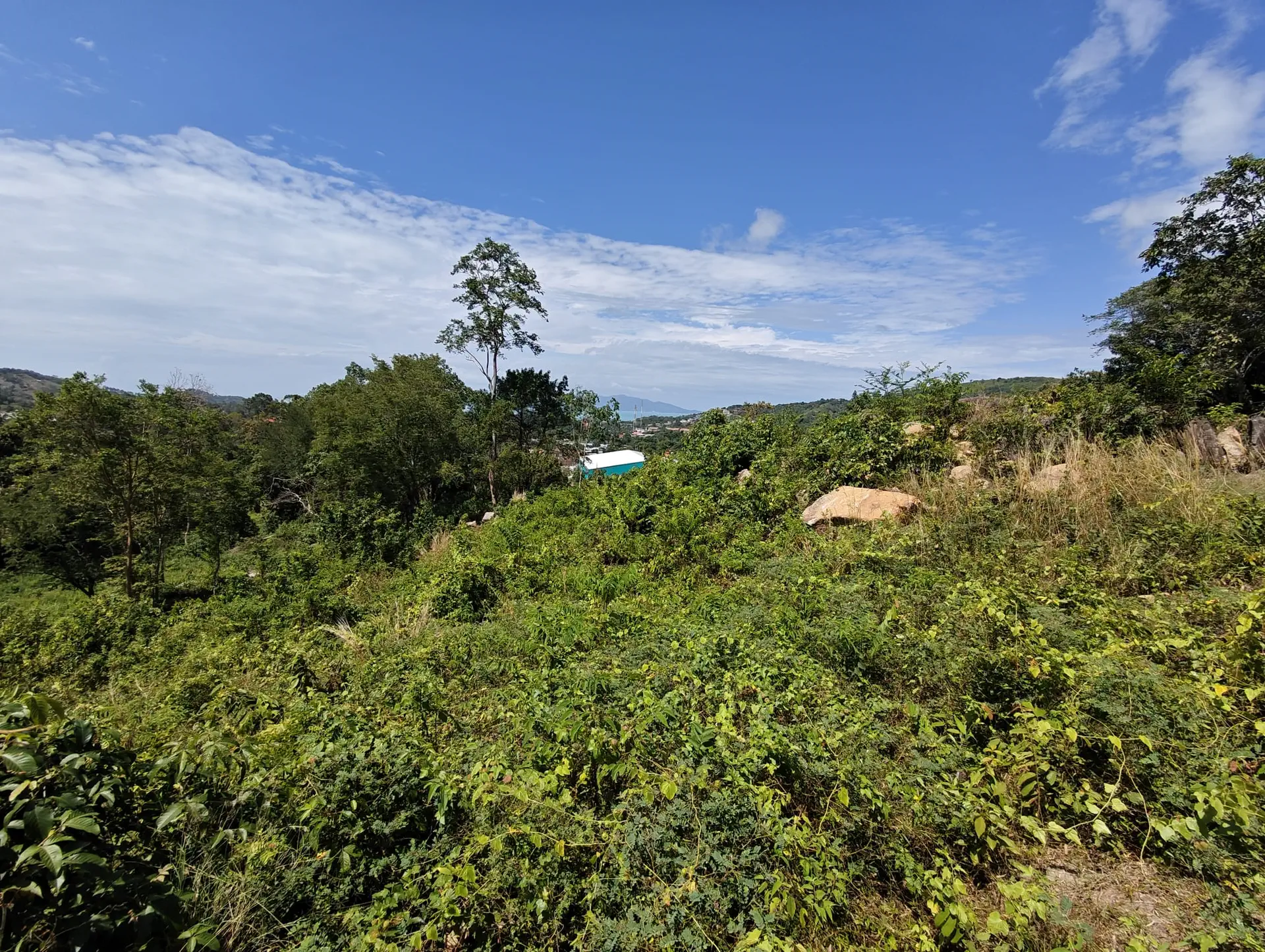 Prime 1,450 sqm Hillside Land for Sale in Bo Phut, Koh Samui - Bo Phut, Ko Samui, Thailand