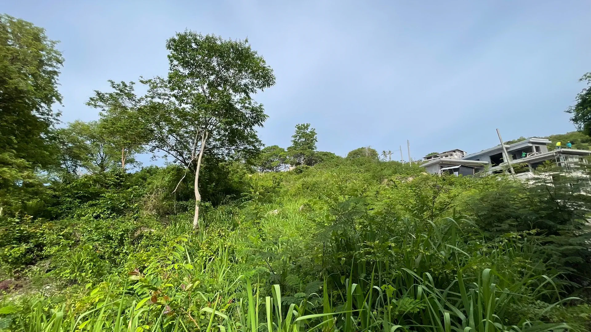 Prime 1,450 sqm Hillside Land for Sale in Bo Phut, Koh Samui - Bo Phut, Ko Samui, Thailand
