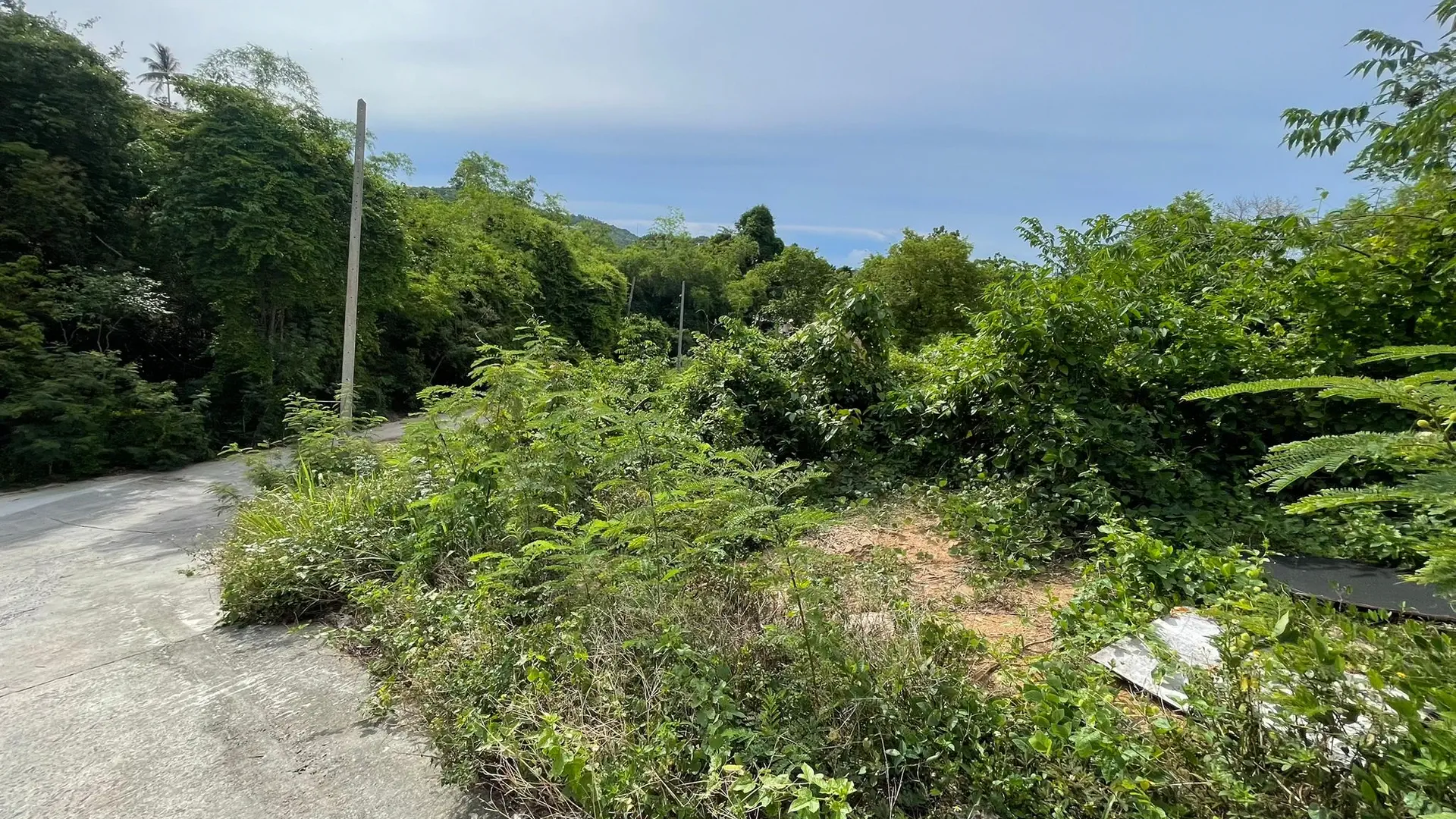 Prime 1,450 sqm Hillside Land for Sale in Bo Phut, Koh Samui - Bo Phut, Ko Samui, Thailand