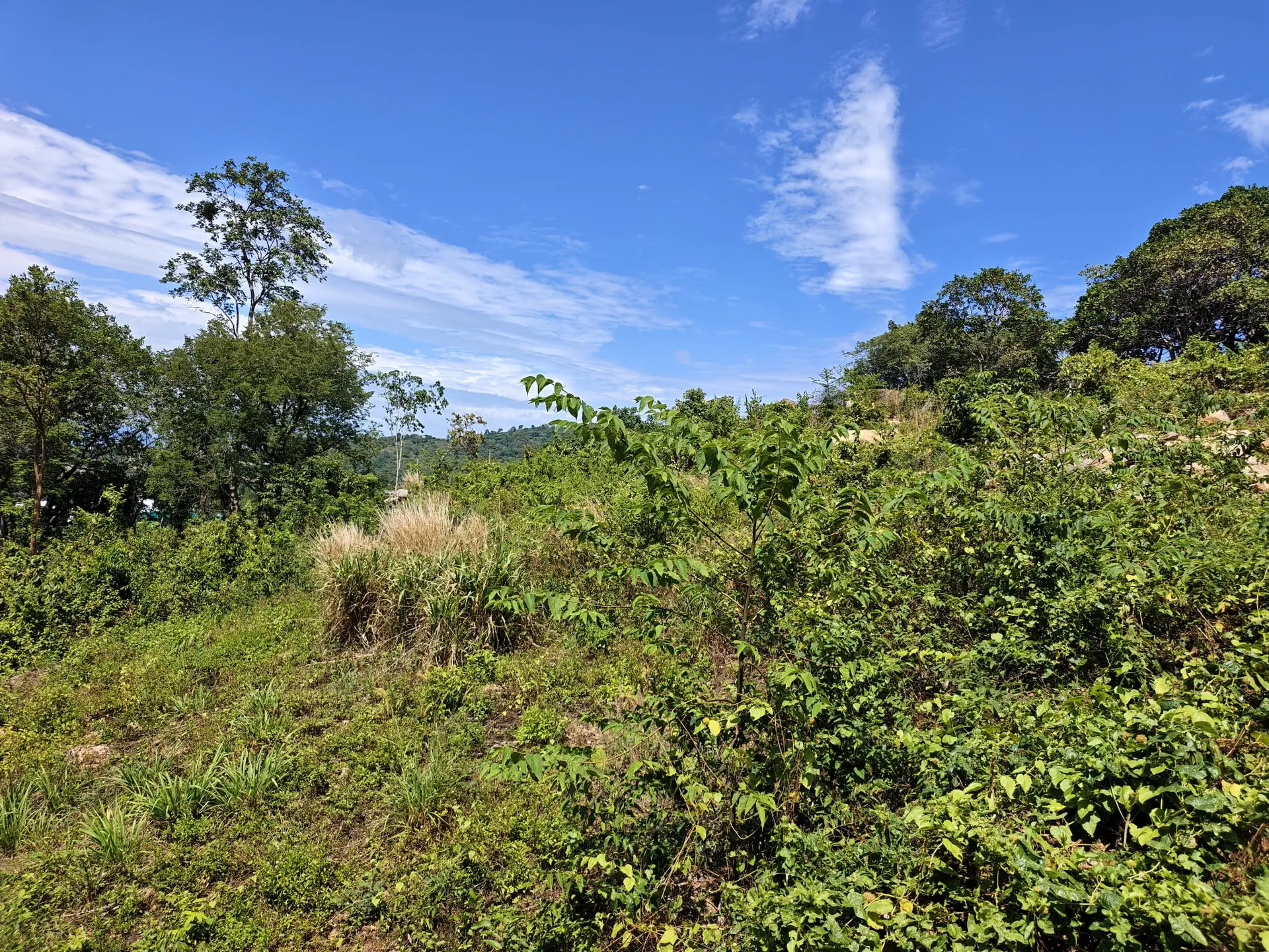 Prime 1,450 sqm Hillside Land for Sale in Bo Phut, Koh Samui - Bo Phut, Ko Samui, Thailand