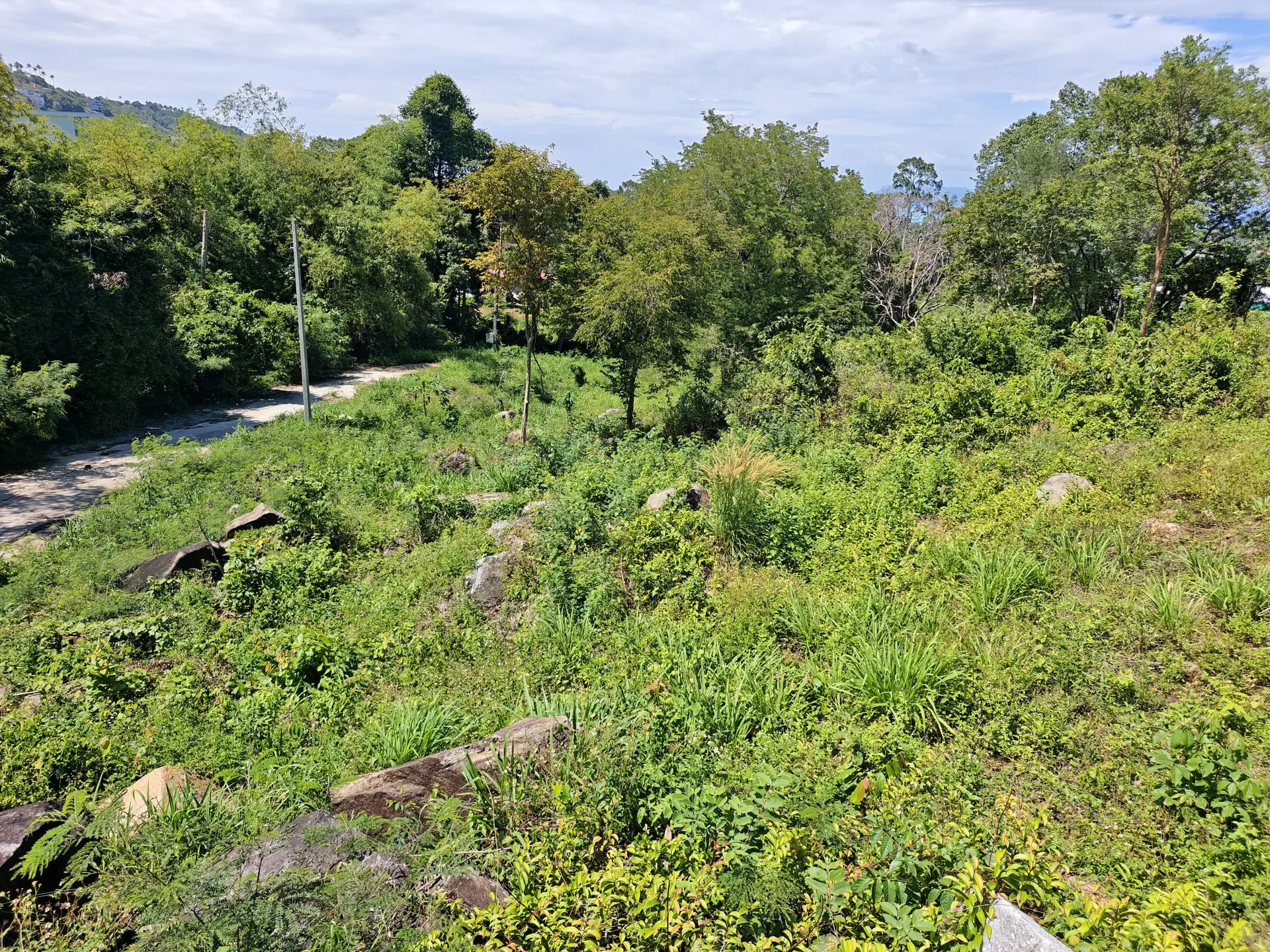Prime 1,450 sqm Hillside Land for Sale in Bo Phut, Koh Samui - Bo Phut, Ko Samui, Thailand