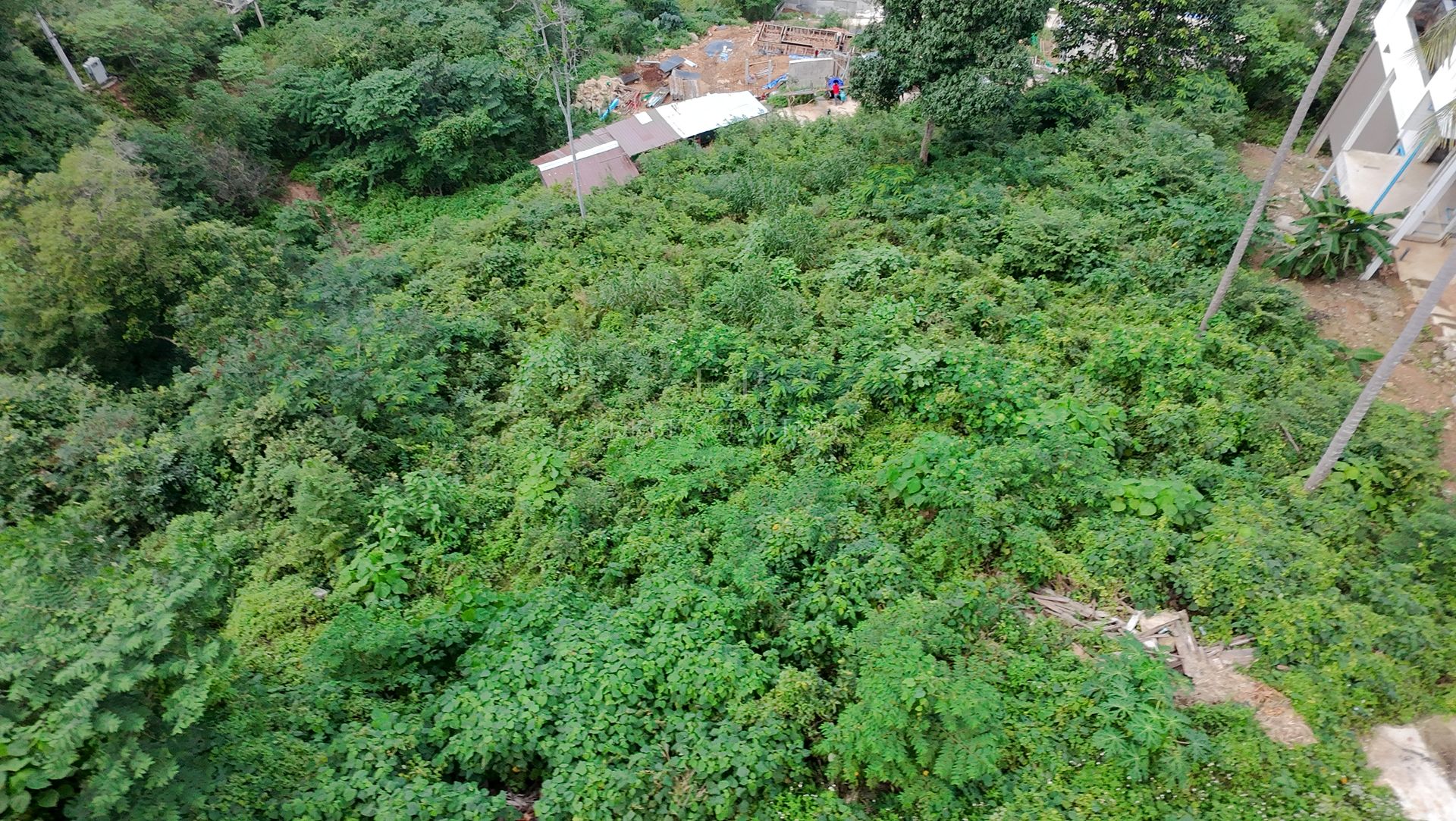 Elevated 1,600 sqm Land Plot with Panoramic Sea Views for Sale in Bophut, Koh Samui - Bo Phut, Ko Samui, Thailand