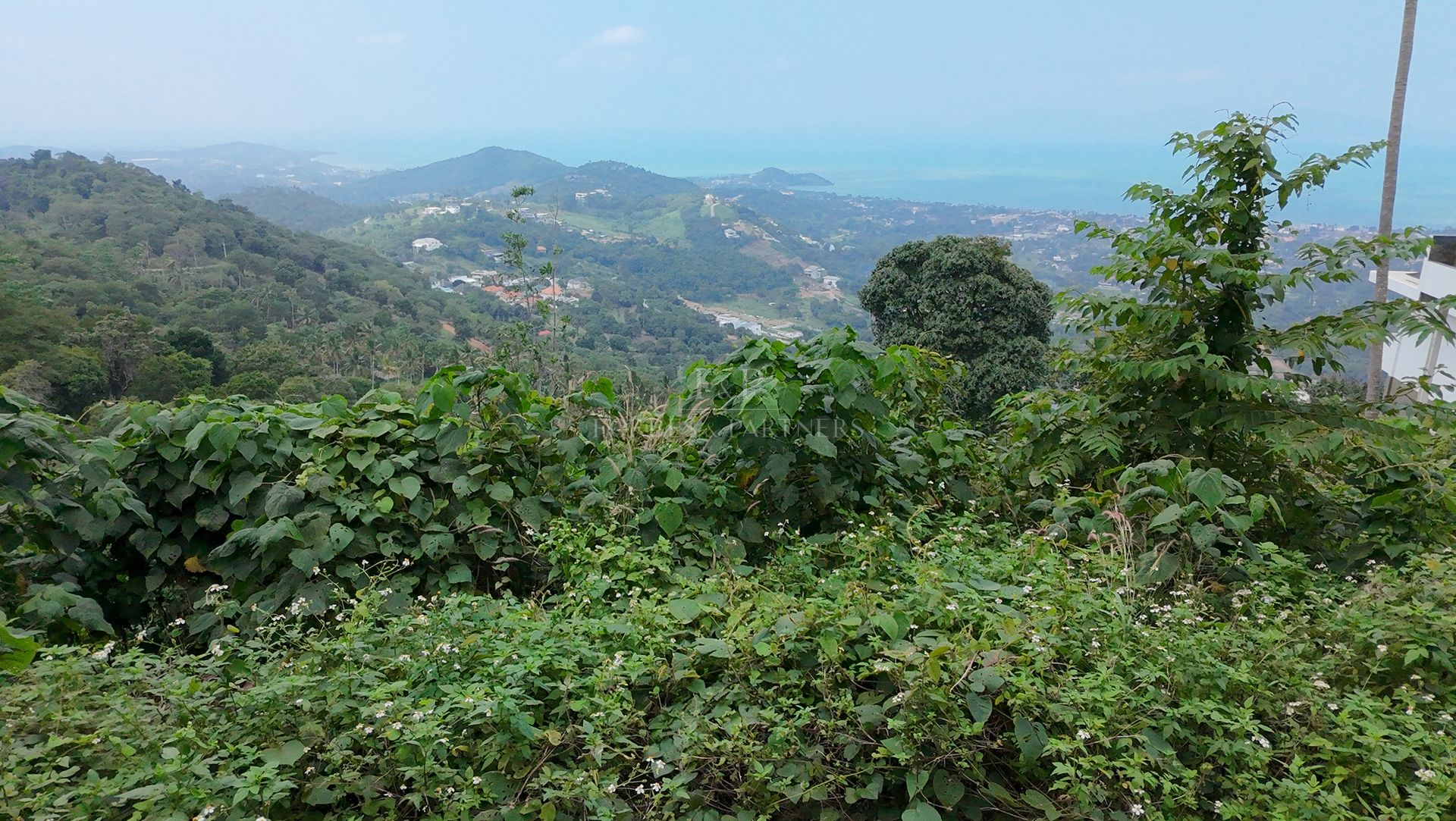 Elevated 1,600 sqm Land Plot with Panoramic Sea Views for Sale in Bophut, Koh Samui - Bo Phut, Ko Samui, Thailand