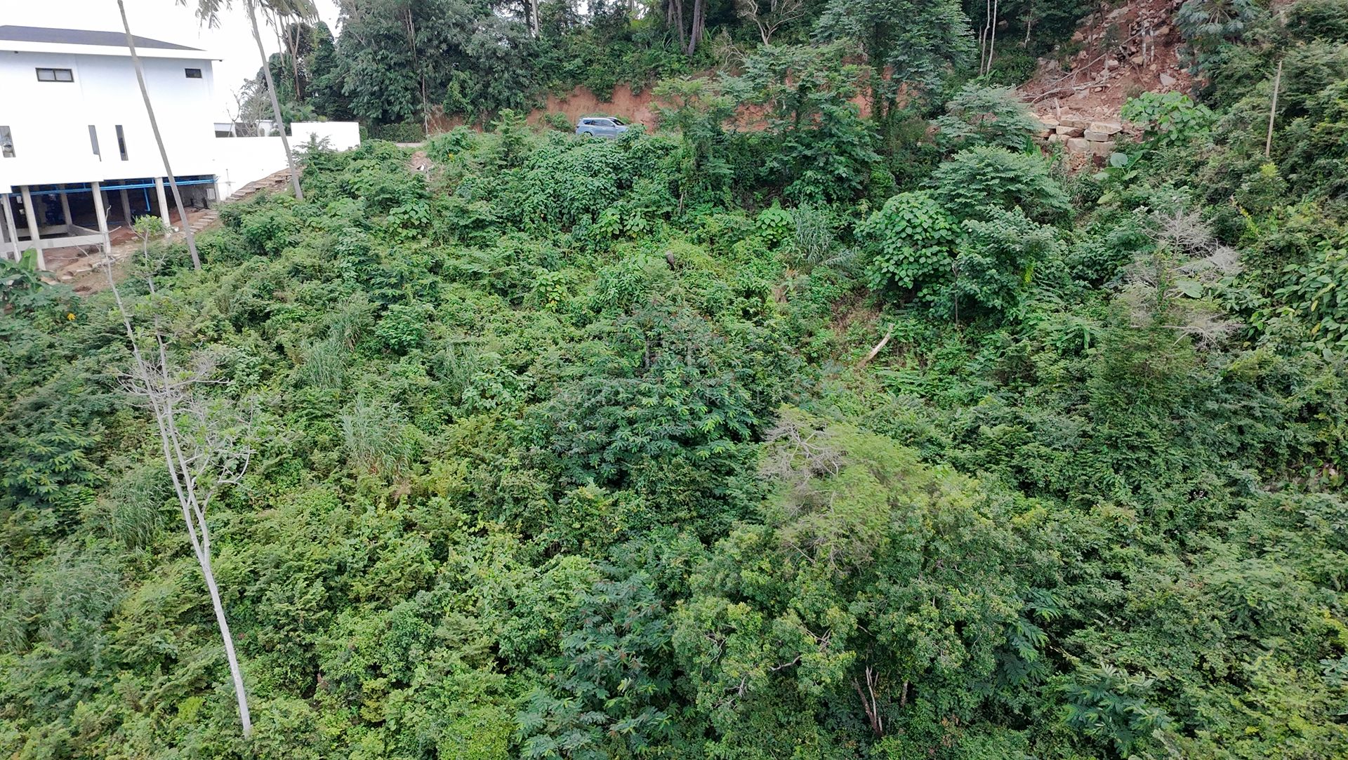 Elevated 1,600 sqm Land Plot with Panoramic Sea Views for Sale in Bophut, Koh Samui - Bo Phut, Ko Samui, Thailand