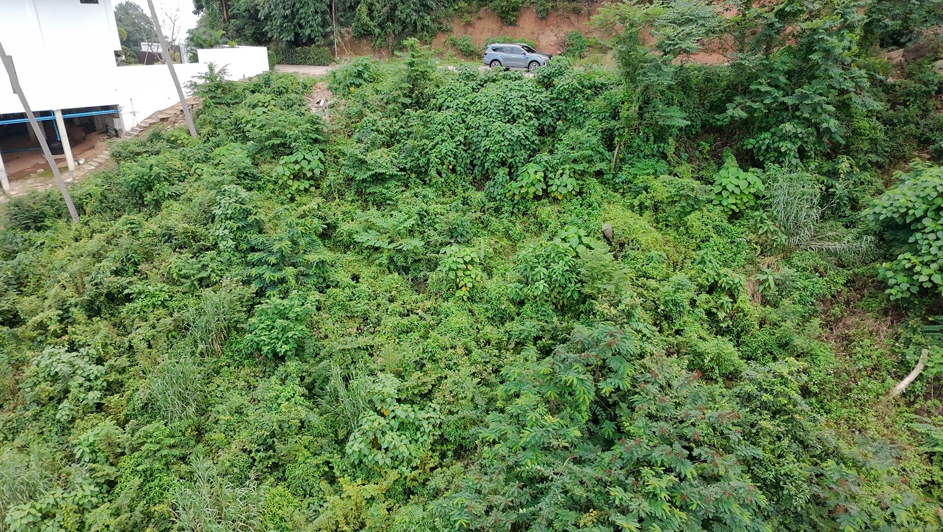 Elevated 1,600 sqm Land Plot with Panoramic Sea Views for Sale in Bophut, Koh Samui - Bo Phut, Ko Samui, Thailand