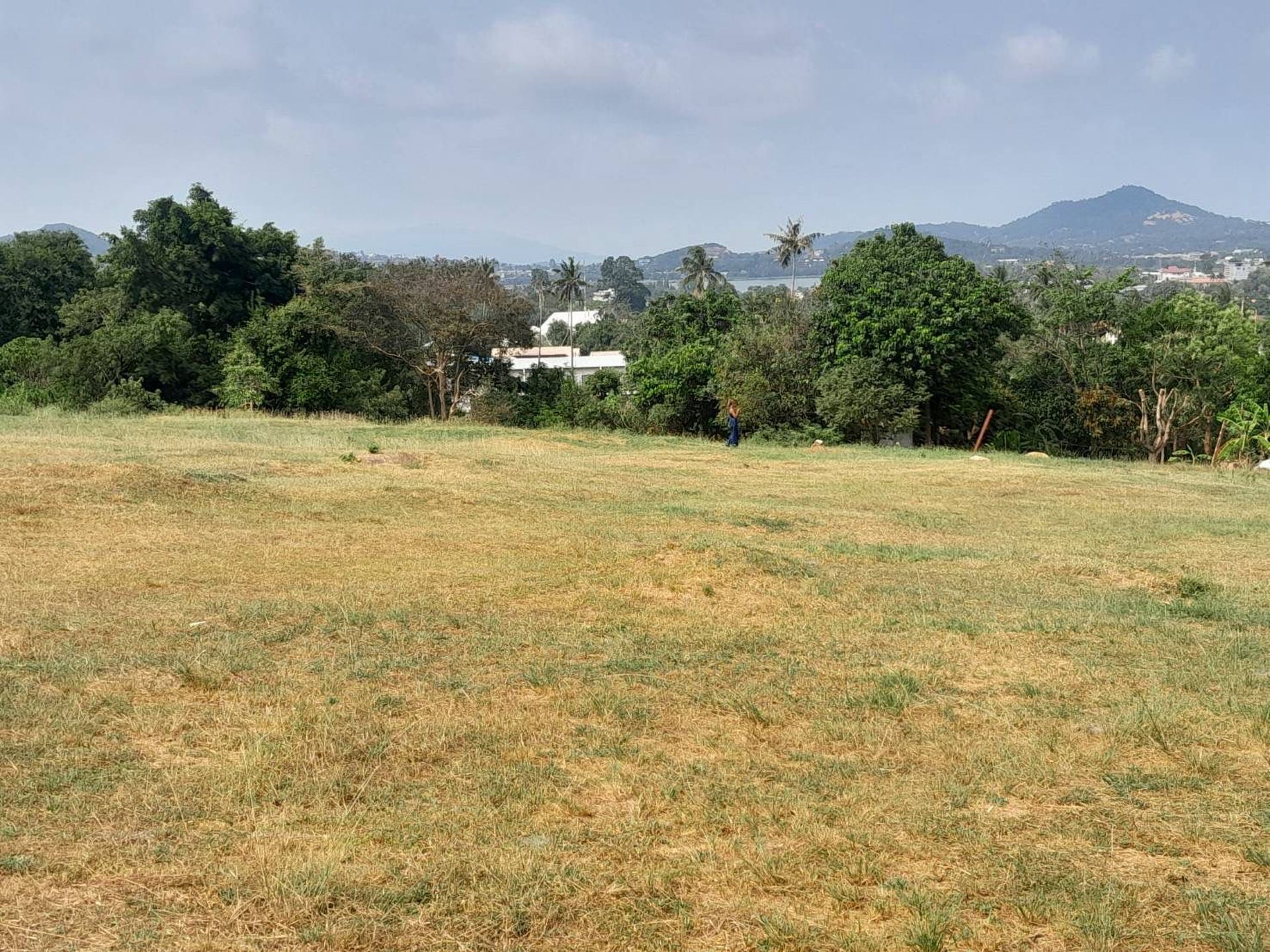 Stunning 3404 sqm Plot in Convenient Chaweng Location, Koh Samui - Chaweng, Ko Samui, Thailand