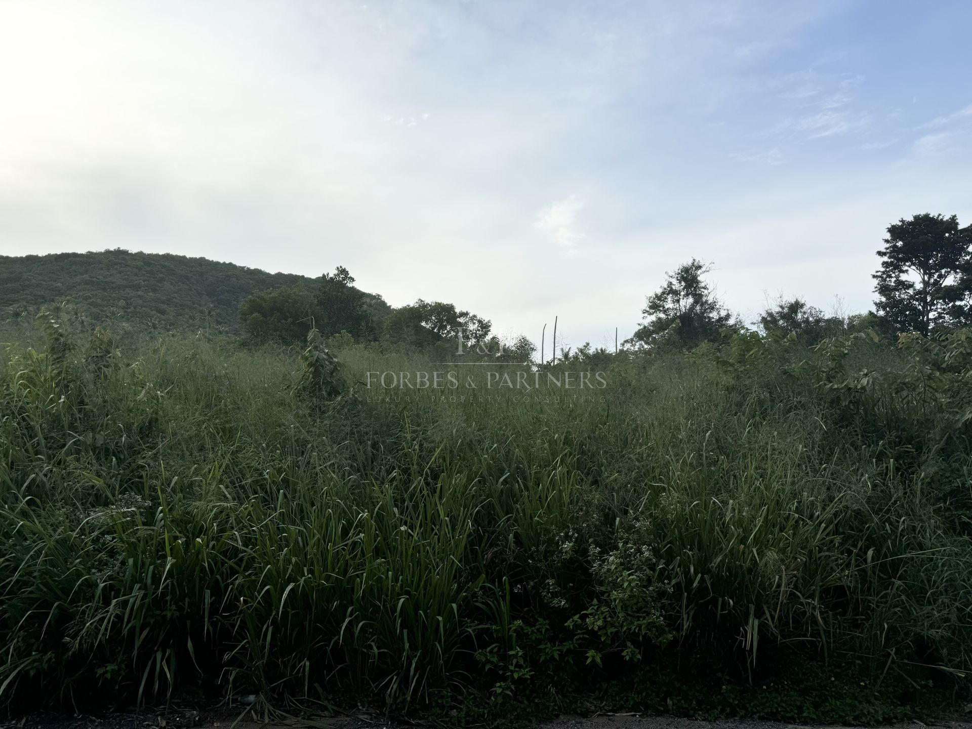 Premium Development Land: 11,200 sqm in Bang Rak, Koh Samui - Bang Rak, Ko Samui, Thailand