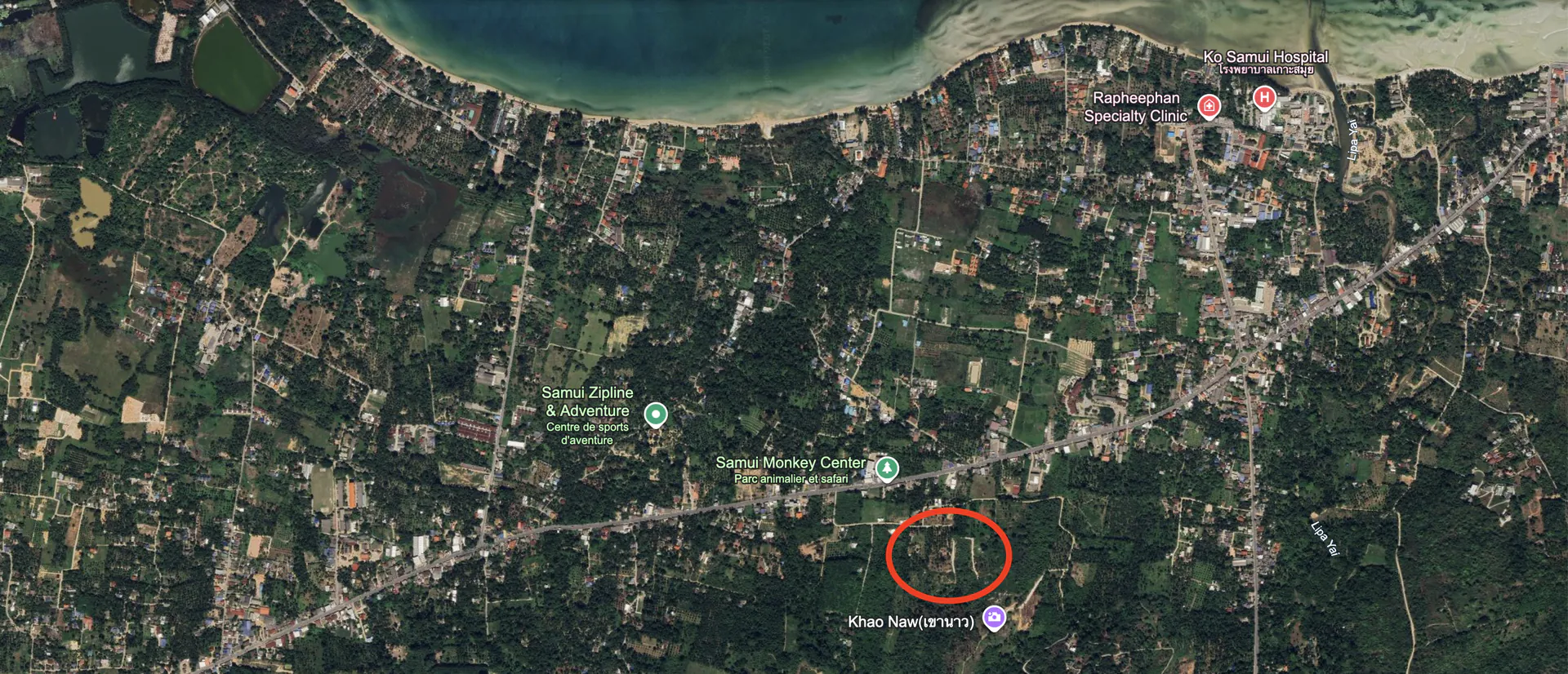 8,800 sqm Sea View Land for Sale in Lipa Noi, Koh Samui, 270° Panoramic Ocean Views - Lipa Noi, Ko Samui, Thailand