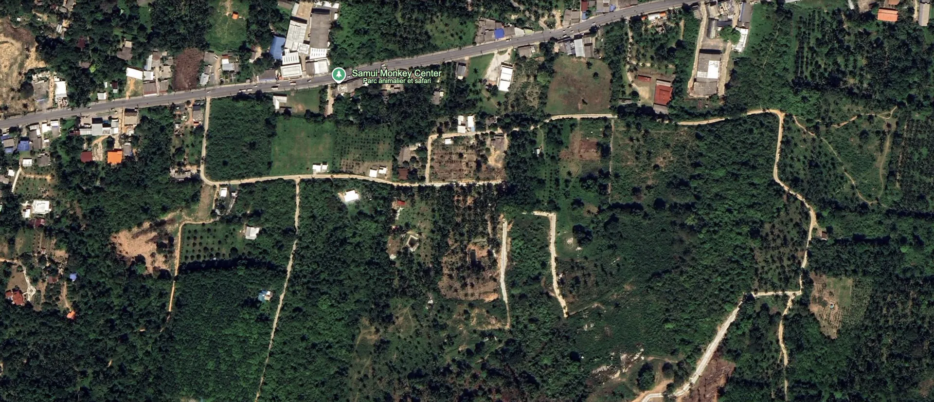 8,800 sqm Sea View Land for Sale in Lipa Noi, Koh Samui, 270° Panoramic Ocean Views - Lipa Noi, Ko Samui, Thailand