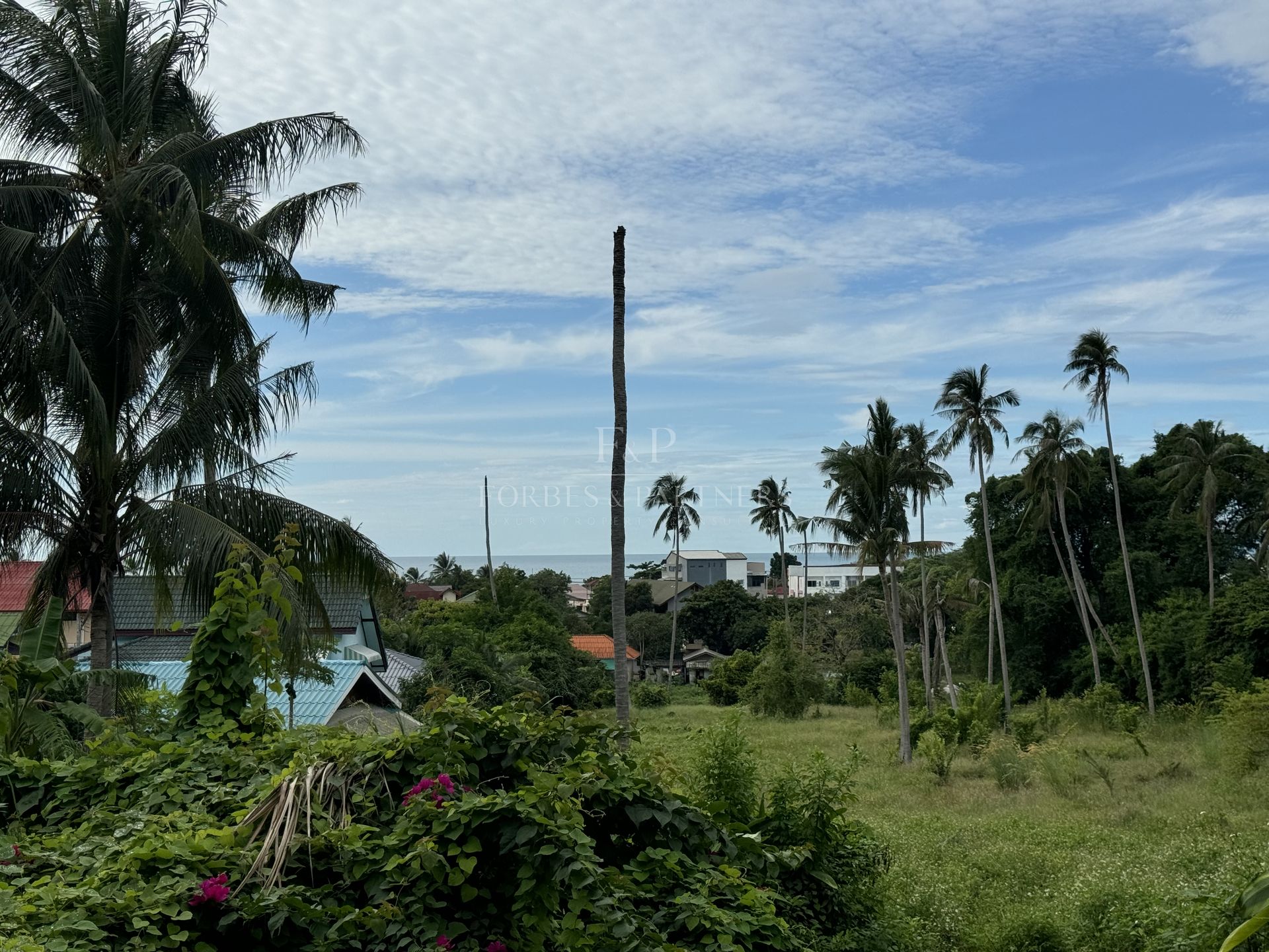 LAMAI SEA VIEW LAND: 4,904 SQM WITH INFRASTRUCTURE - Lamai, Ko Samui, Thailand