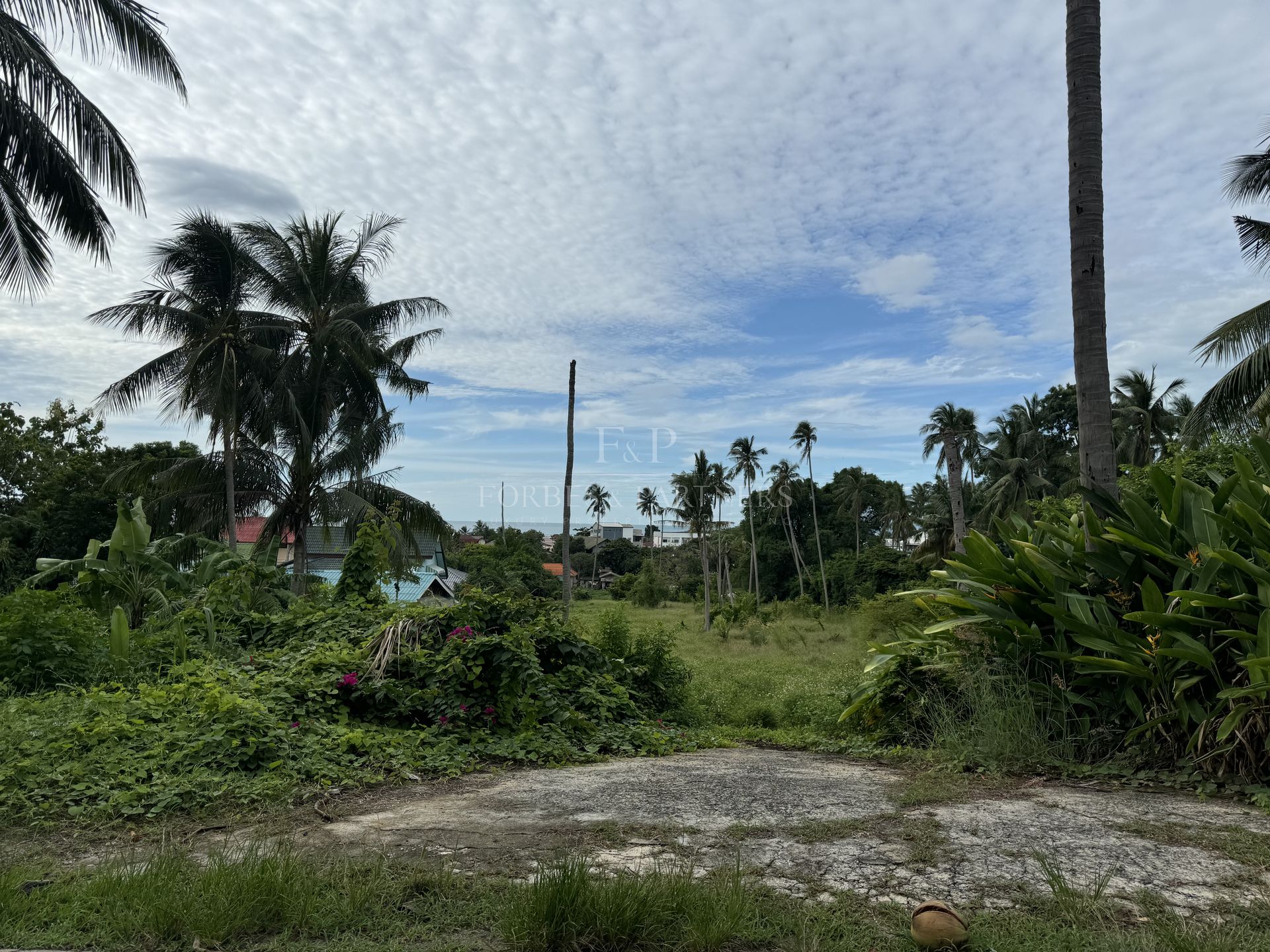 LAMAI SEA VIEW LAND: 4,904 SQM WITH INFRASTRUCTURE - Lamai, Ko Samui, Thailand