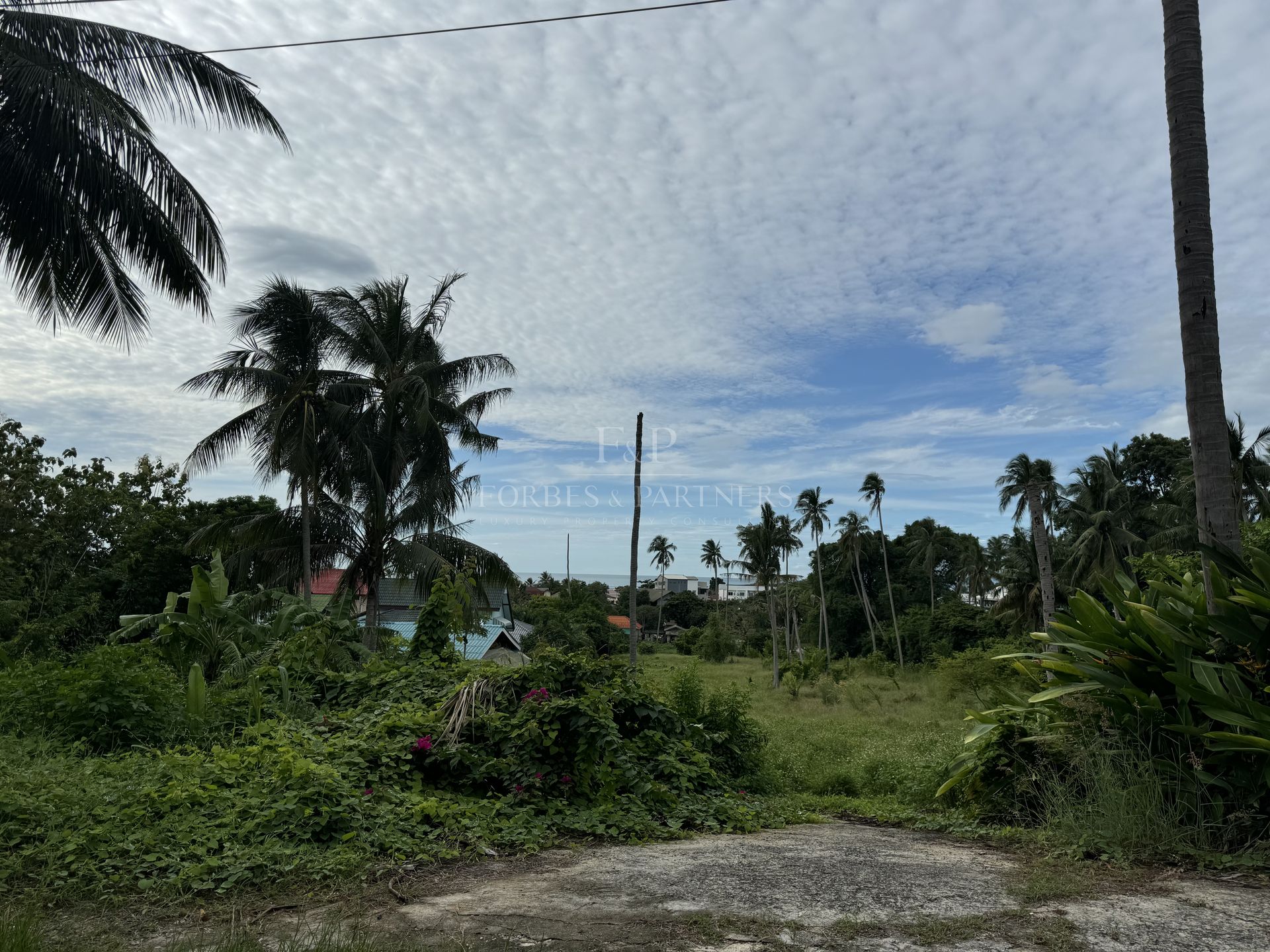 LAMAI SEA VIEW LAND: 4,904 SQM WITH INFRASTRUCTURE - Lamai, Ko Samui, Thailand