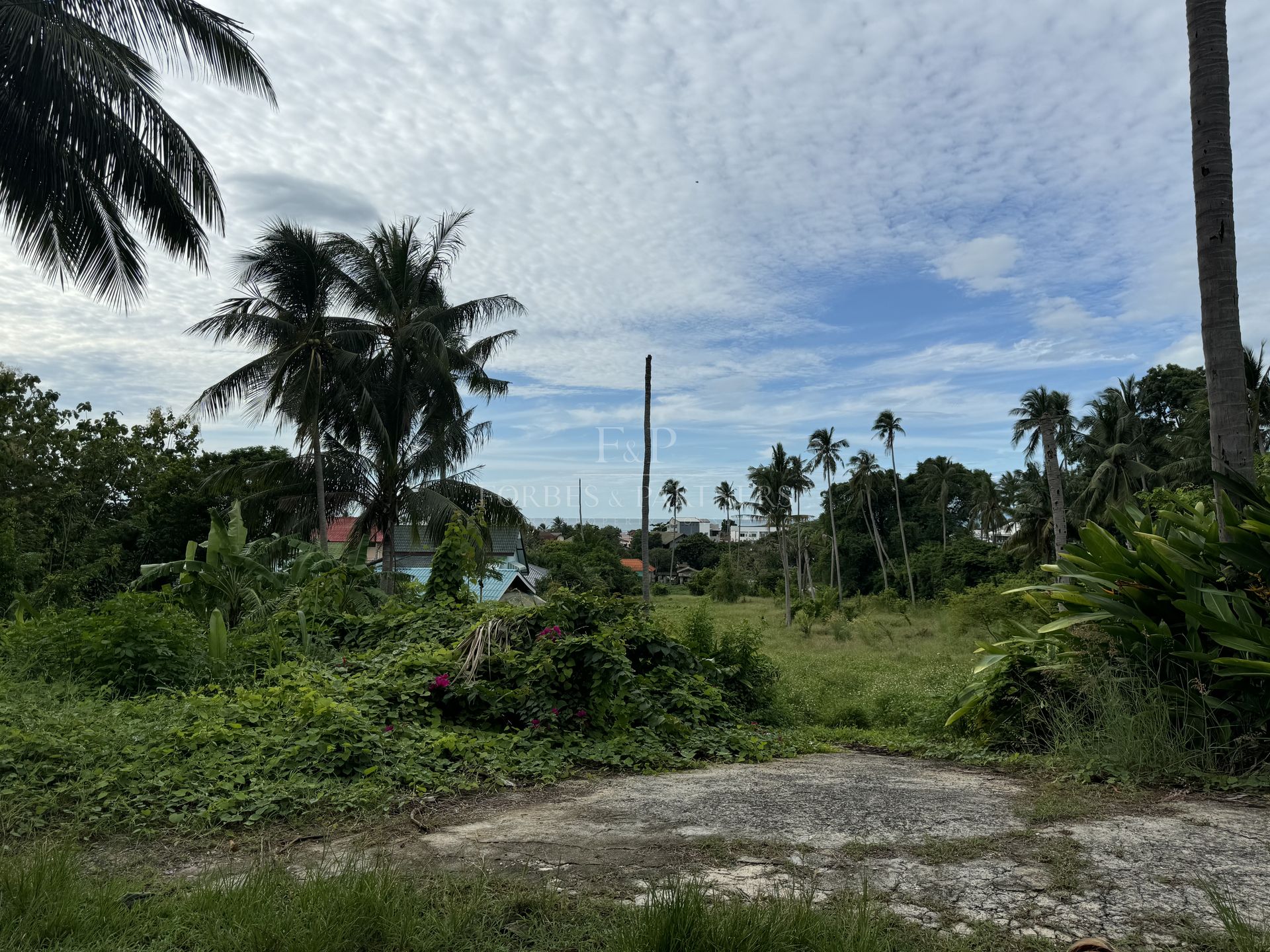 LAMAI SEA VIEW LAND: 4,904 SQM WITH INFRASTRUCTURE - Lamai, Ko Samui, Thailand