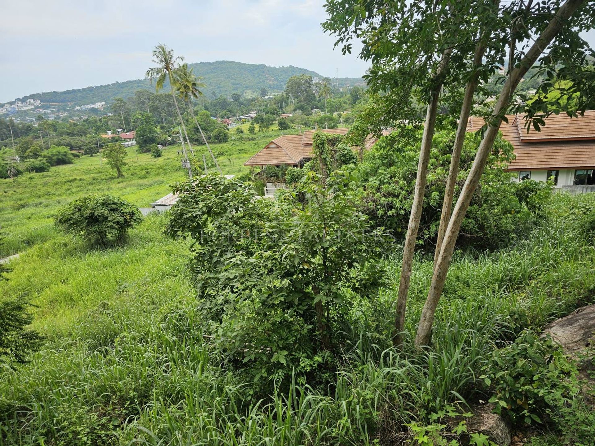 Premium Sea View Land Plot in Exclusive Bo Phut Hills, Koh Samui - Bo Phut, Ko Samui, Thailand