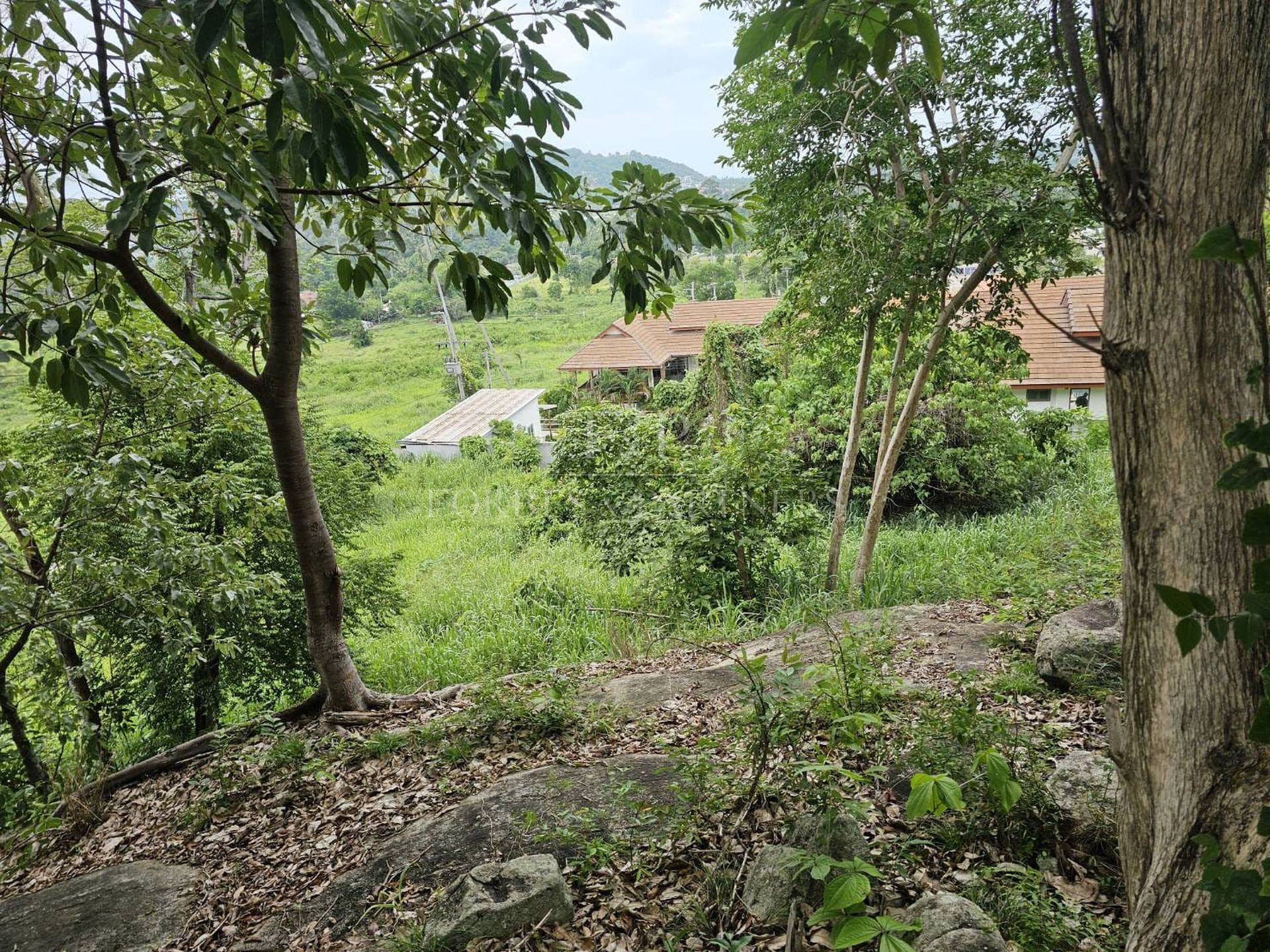 Premium Sea View Land Plot in Exclusive Bo Phut Hills, Koh Samui - Bo Phut, Ko Samui, Thailand