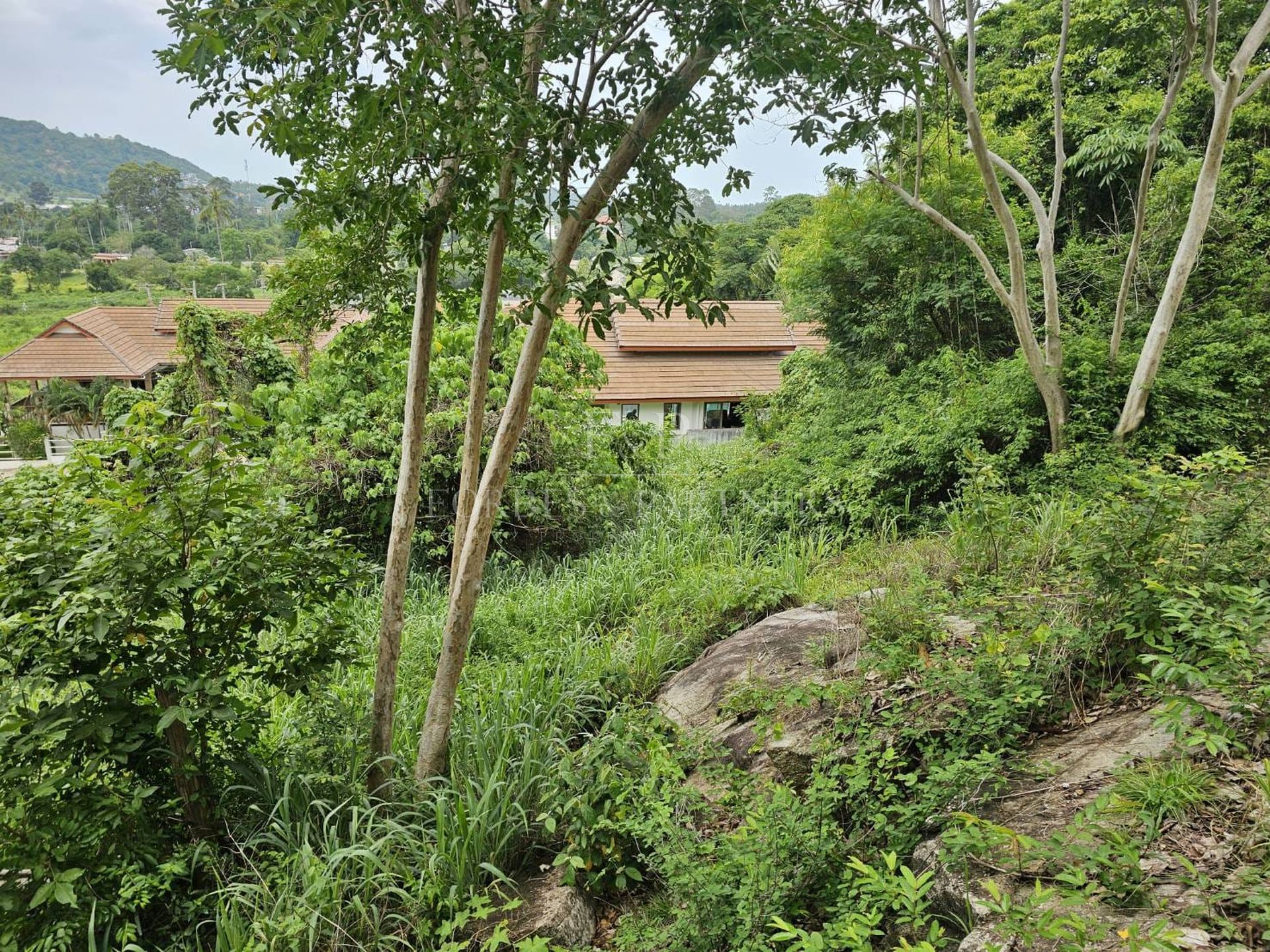 Premium Sea View Land Plot in Exclusive Bo Phut Hills, Koh Samui - Bo Phut, Ko Samui, Thailand
