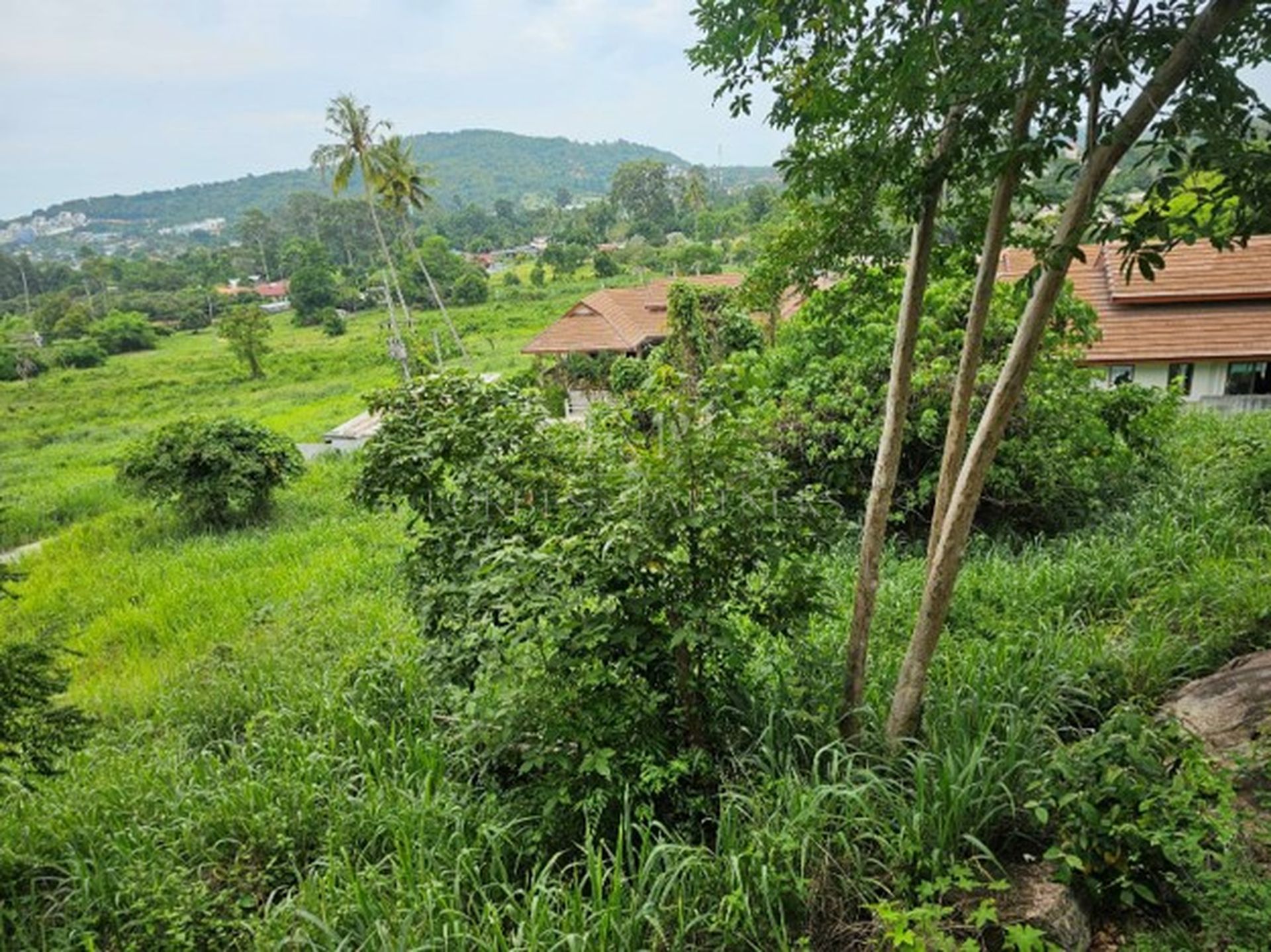Premium Sea View Land Plot in Exclusive Bo Phut Hills, Koh Samui - Bo Phut, Ko Samui, Thailand