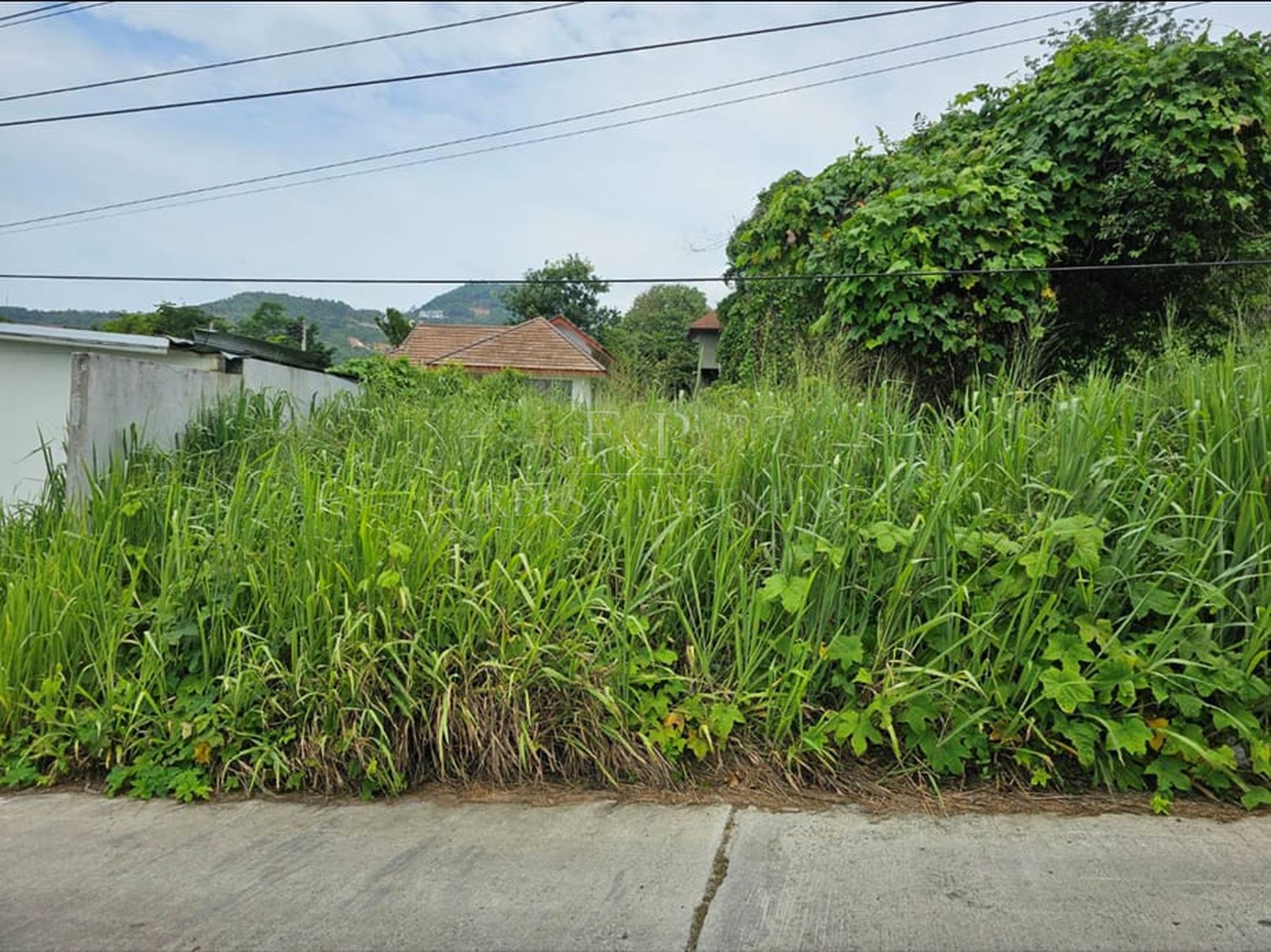 Premium Sea View Land Plot in Exclusive Bo Phut Hills, Koh Samui - Bo Phut, Ko Samui, Thailand
