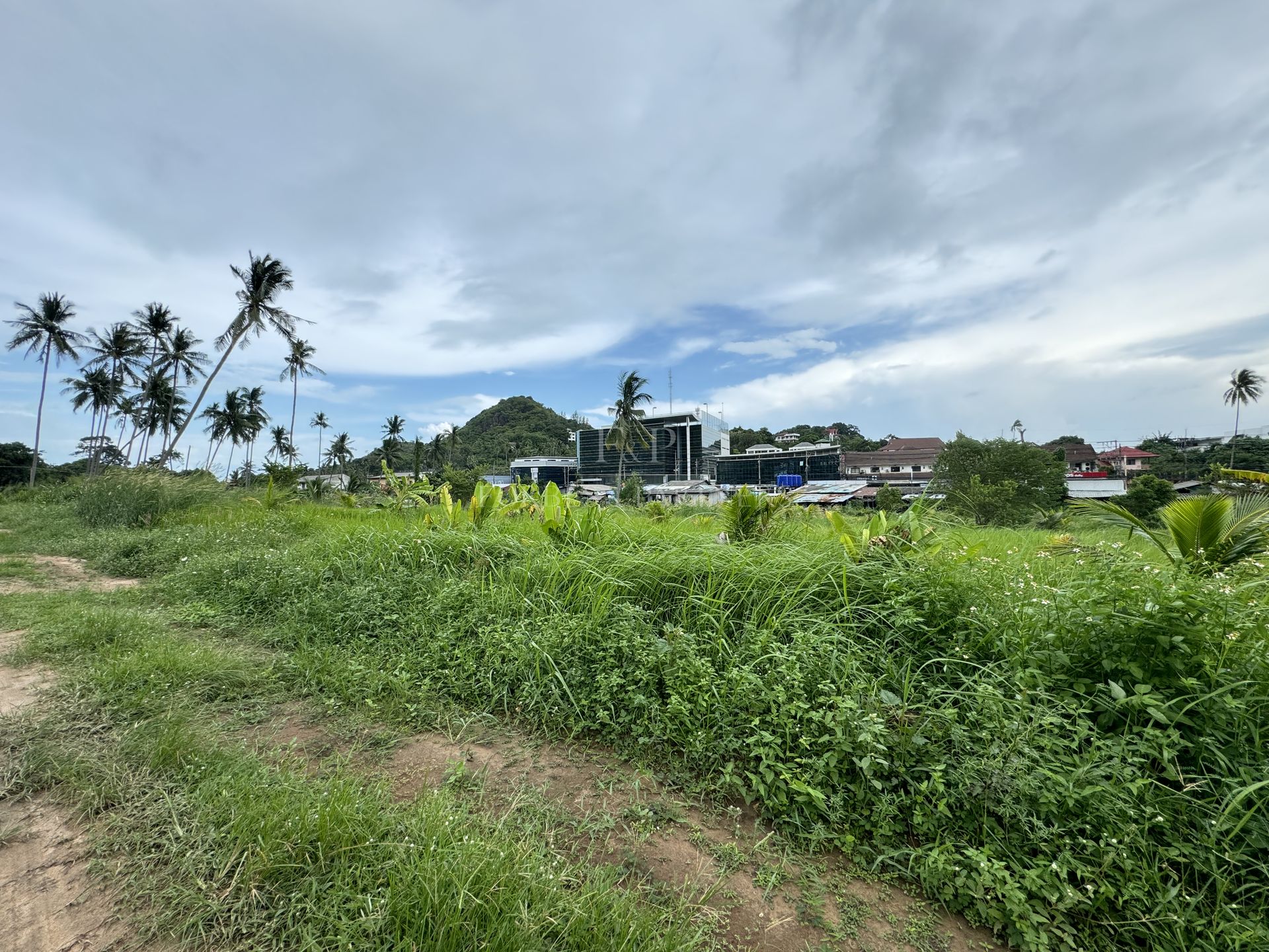 Strategic 12800 SQM Land Plot for Sale in Lamai, Koh Samui - Lamai, Ko Samui, Thailand