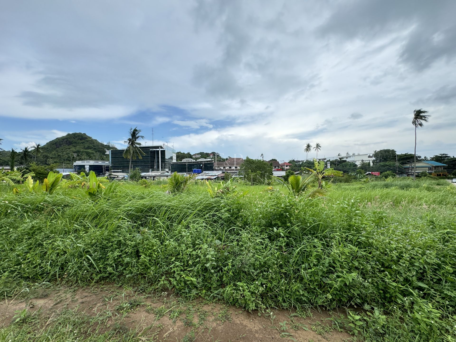 Strategic 12800 SQM Land Plot for Sale in Lamai, Koh Samui - Lamai, Ko Samui, Thailand