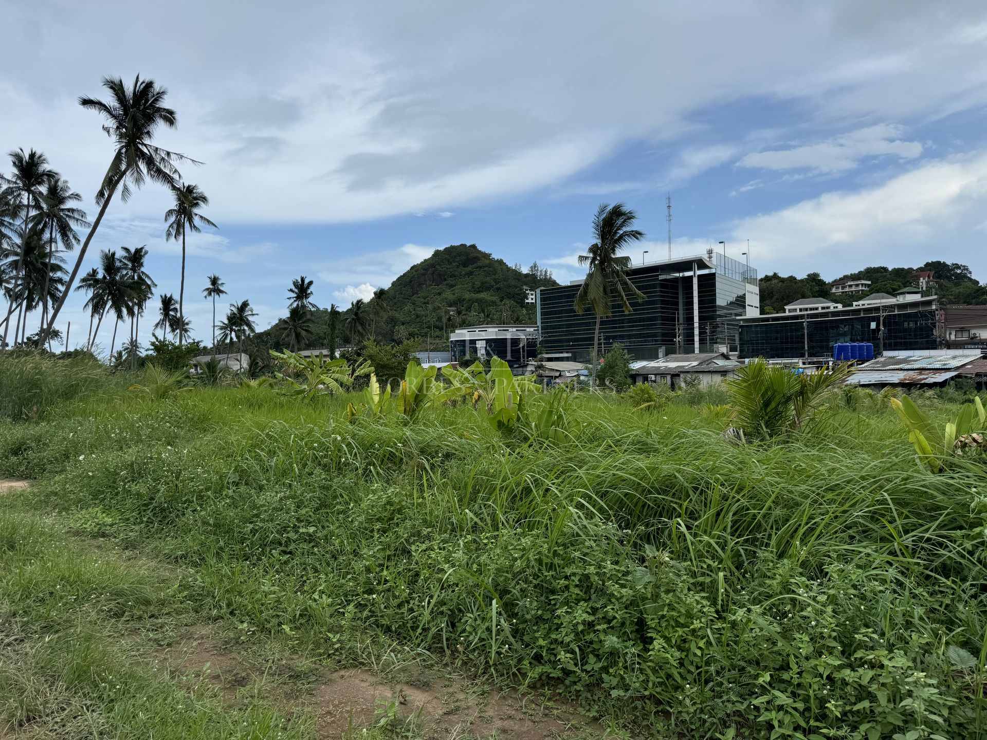 Strategic 12800 SQM Land Plot for Sale in Lamai, Koh Samui - Lamai, Ko Samui, Thailand