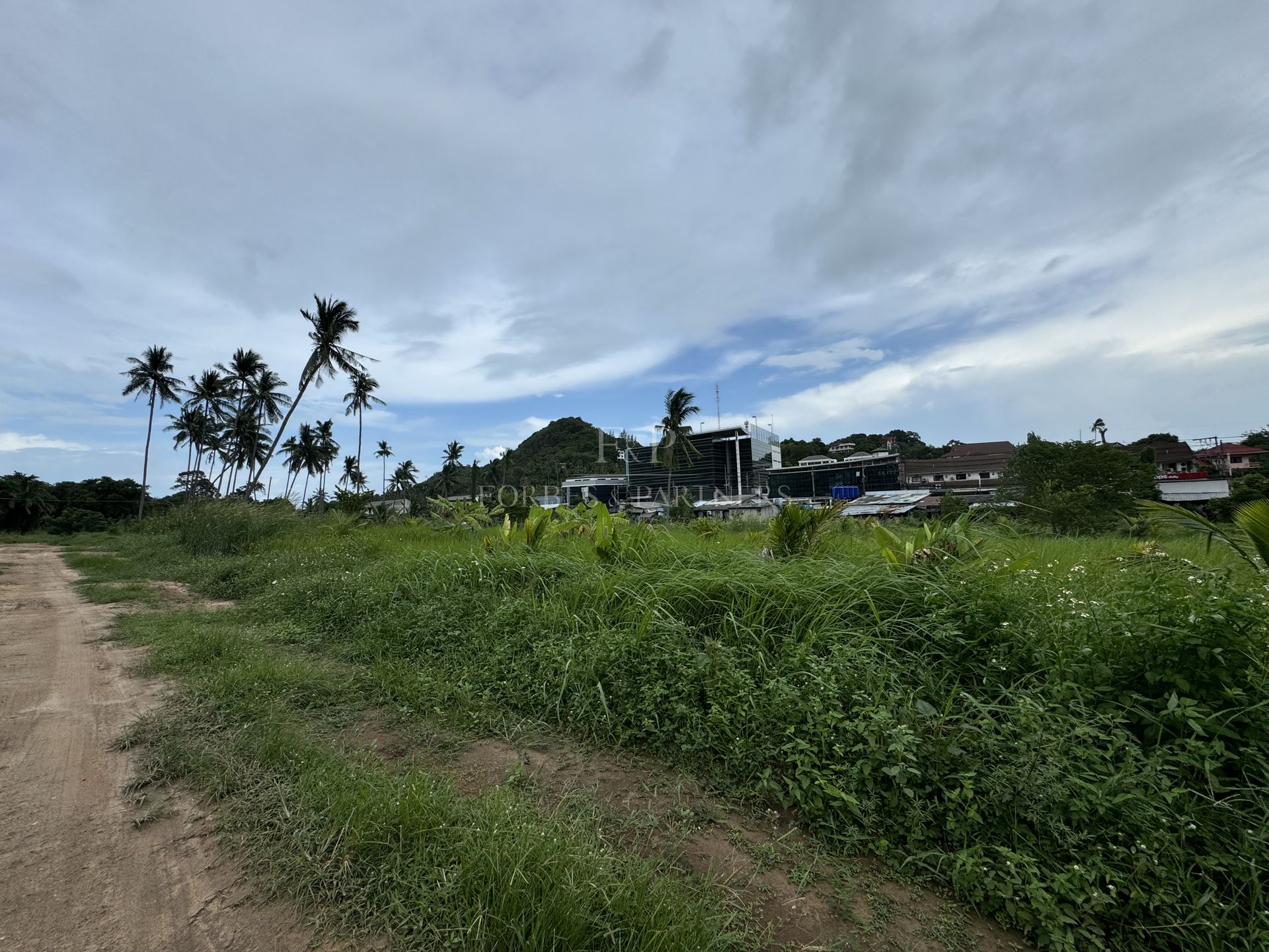 Strategic 12800 SQM Land Plot for Sale in Lamai, Koh Samui - Lamai, Ko Samui, Thailand