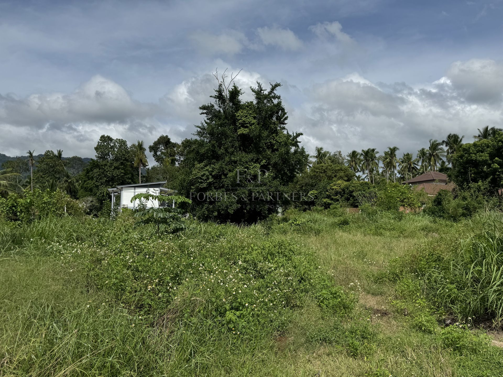 Premium 1248 SQM Land for Sale in Lamai, Koh Samui - Lamai, Ko Samui, Thailand