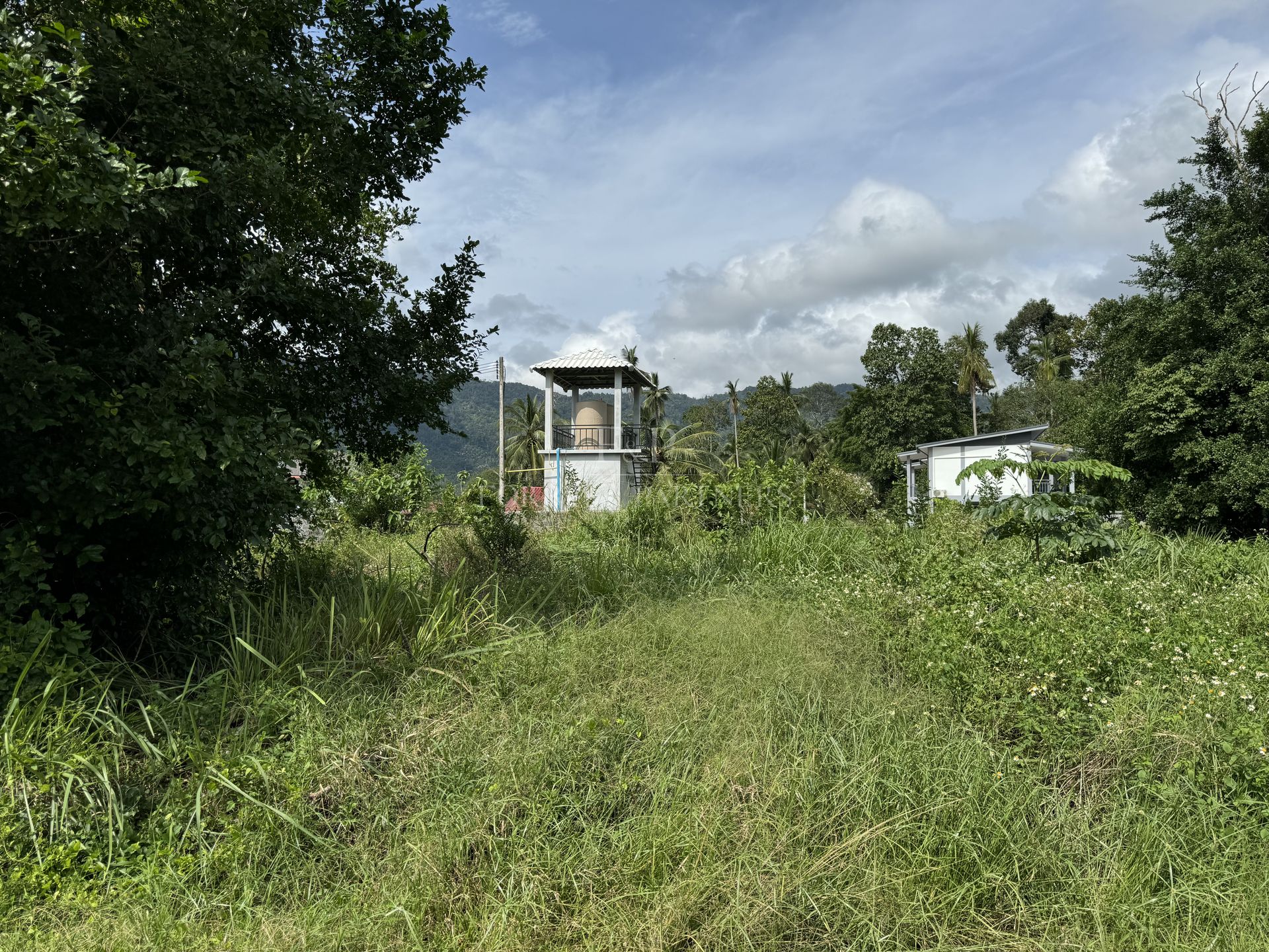 Premium 1248 SQM Land for Sale in Lamai, Koh Samui - Lamai, Ko Samui, Thailand