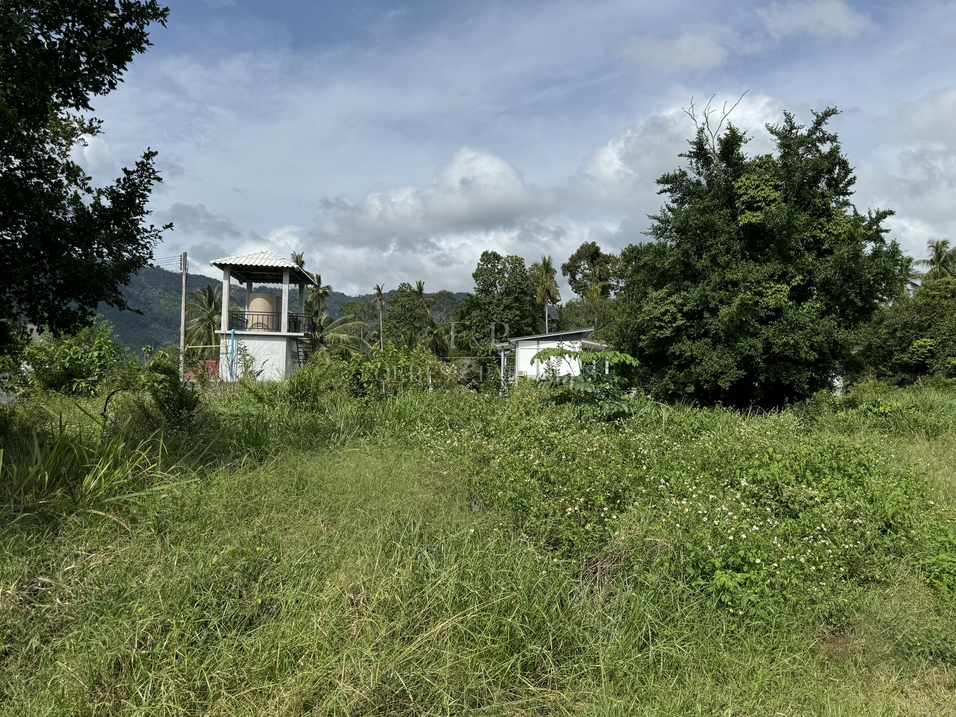 Premium 1248 SQM Land for Sale in Lamai, Koh Samui - Lamai, Ko Samui, Thailand