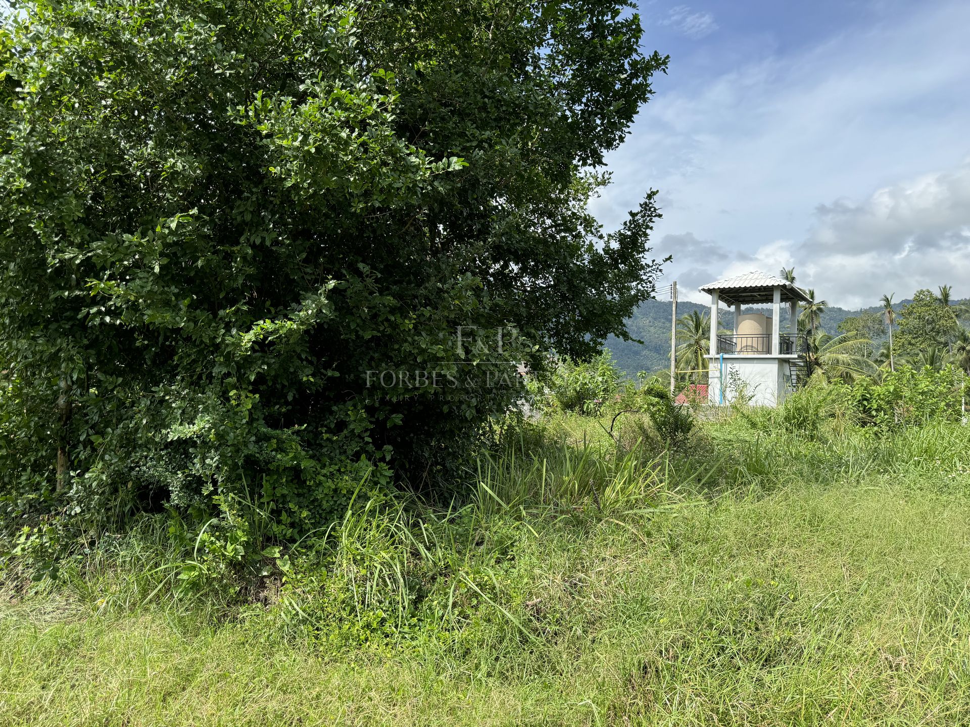 Premium 1248 SQM Land for Sale in Lamai, Koh Samui - Lamai, Ko Samui, Thailand