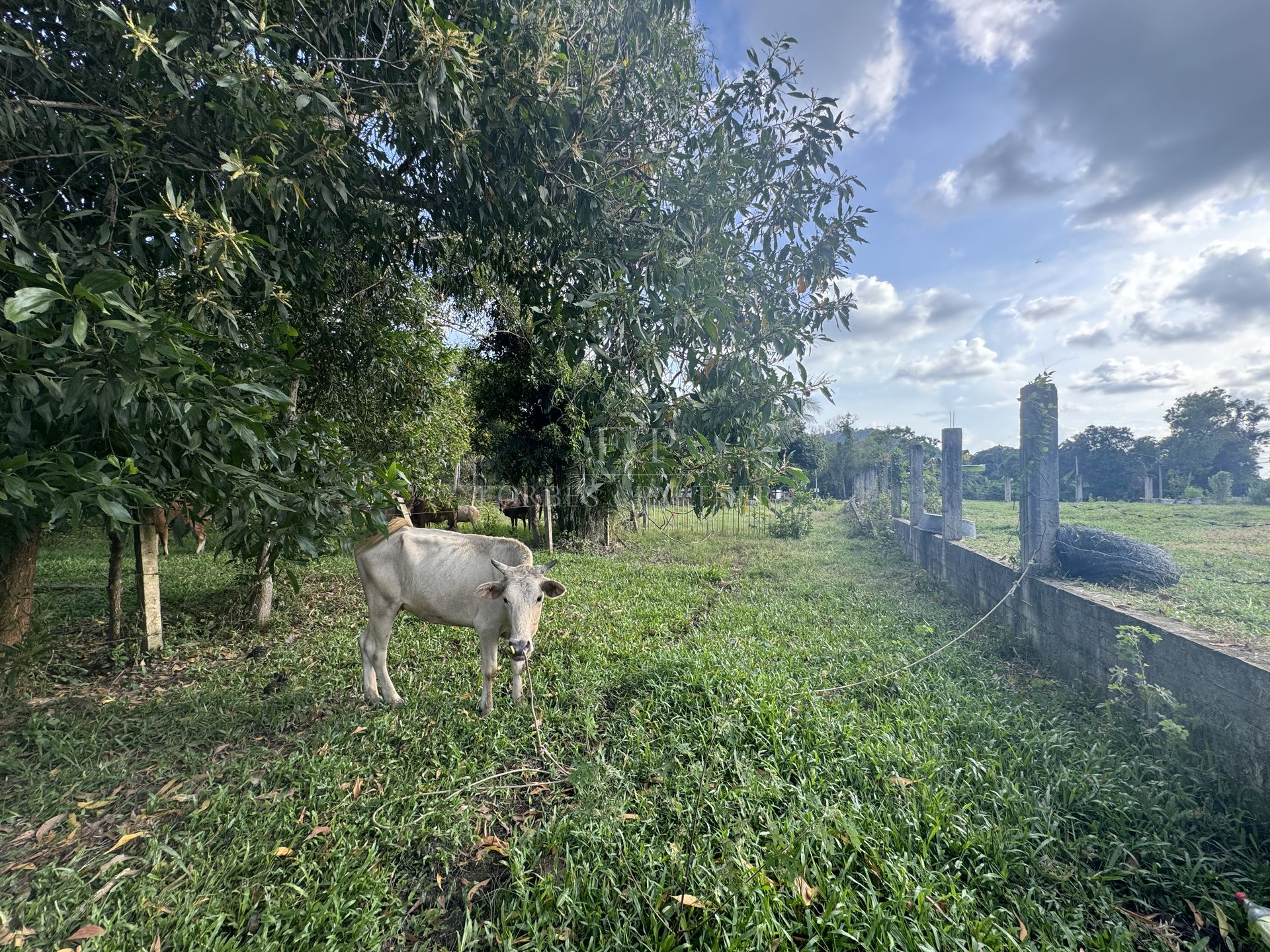 Premium 6308 SQM Land for Sale in Hua Thanon, Koh Samui - Hua Thanon, Ko Samui, Thailand