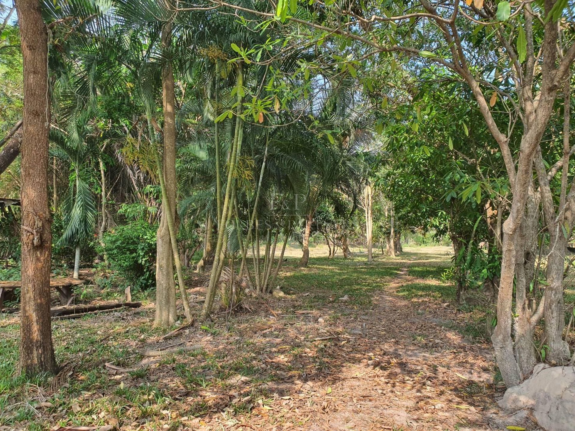 Premium 6308 SQM Land for Sale in Hua Thanon, Koh Samui - Hua Thanon, Ko Samui, Thailand