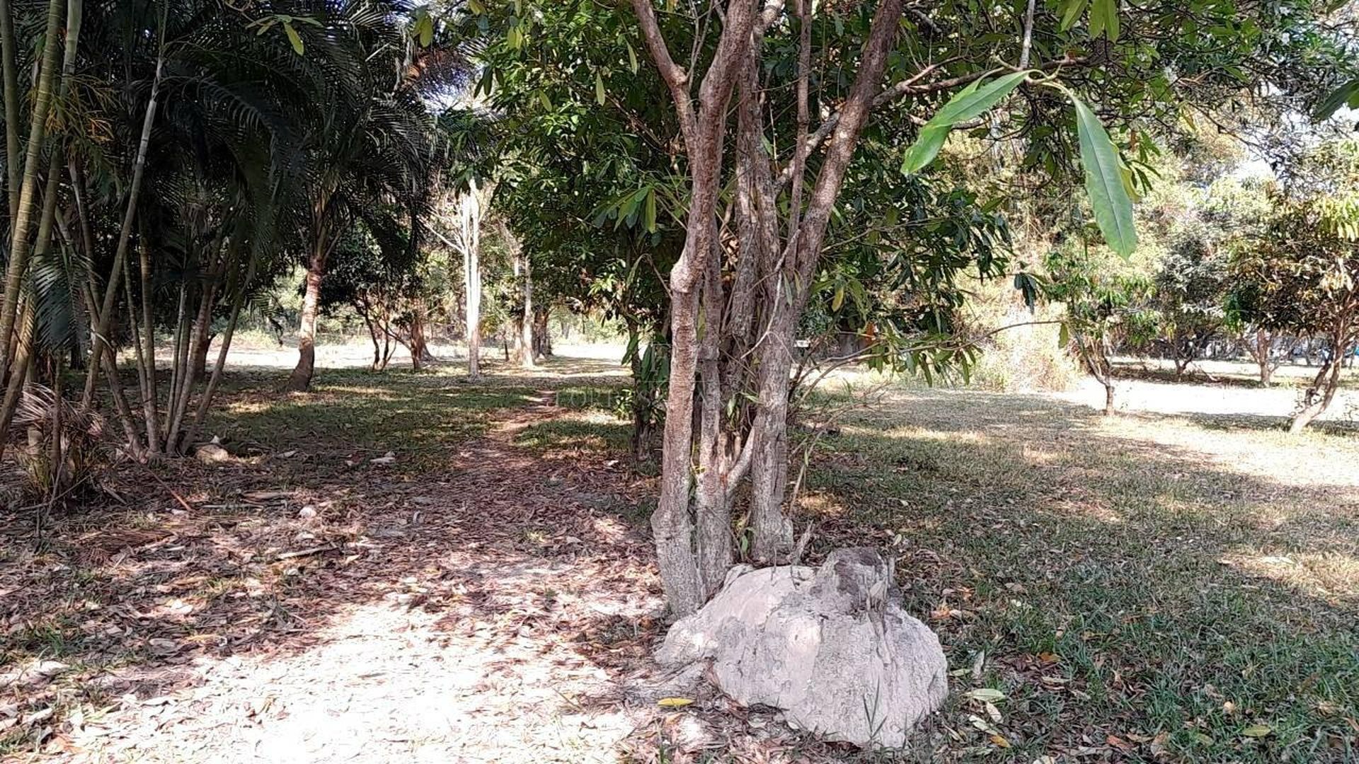 Premium 6308 SQM Land for Sale in Hua Thanon, Koh Samui - Hua Thanon, Ko Samui, Thailand