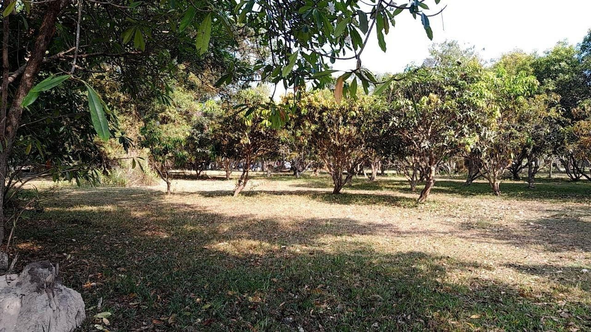 Premium 6308 SQM Land for Sale in Hua Thanon, Koh Samui - Hua Thanon, Ko Samui, Thailand
