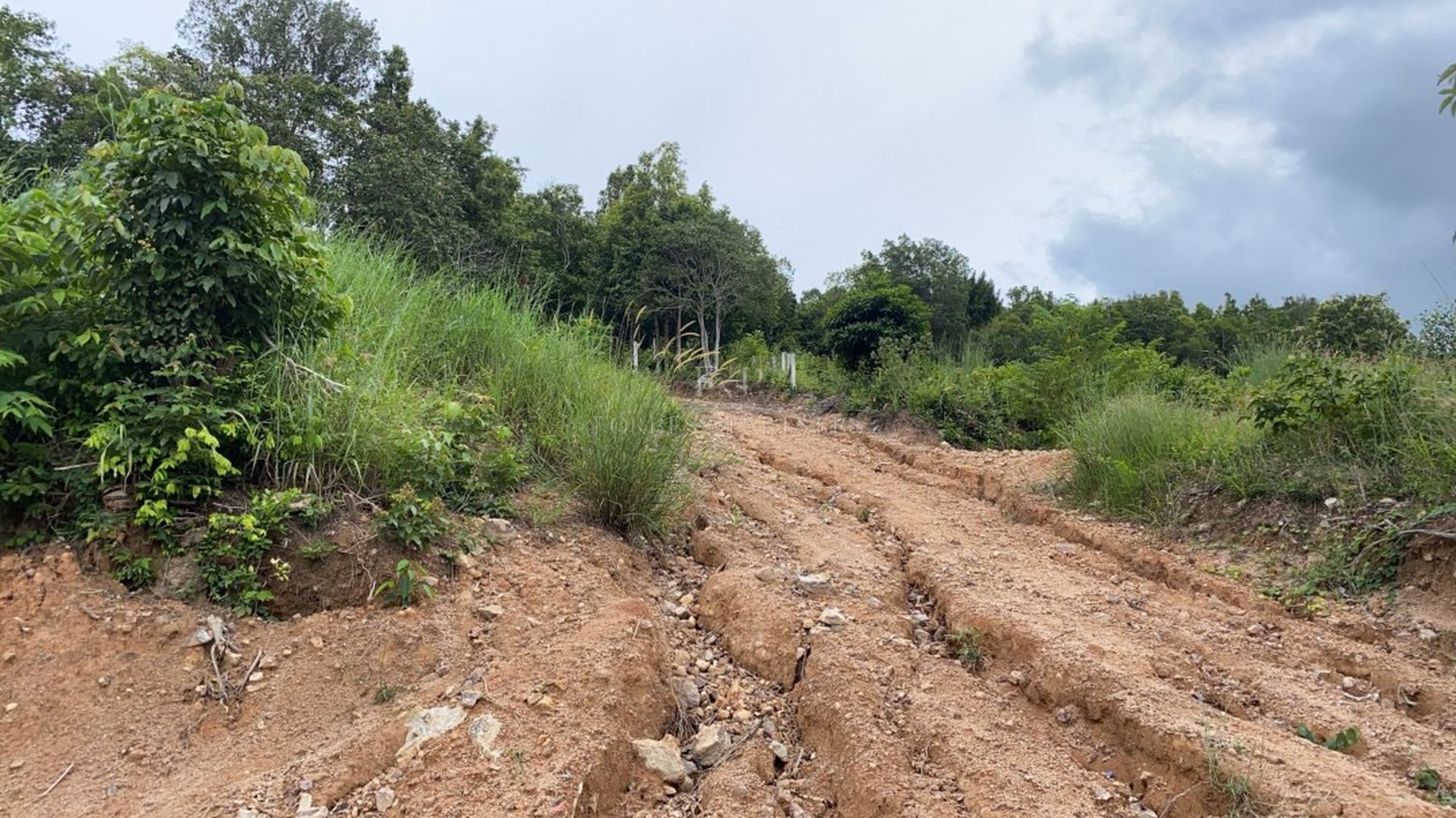 PRIME BO PHUT SEA VIEW LAND: 1,600 SQM WITH PANORAMIC VISTAS IN KOH SAMUI - Bo Phut, Ko Samui, Thailand