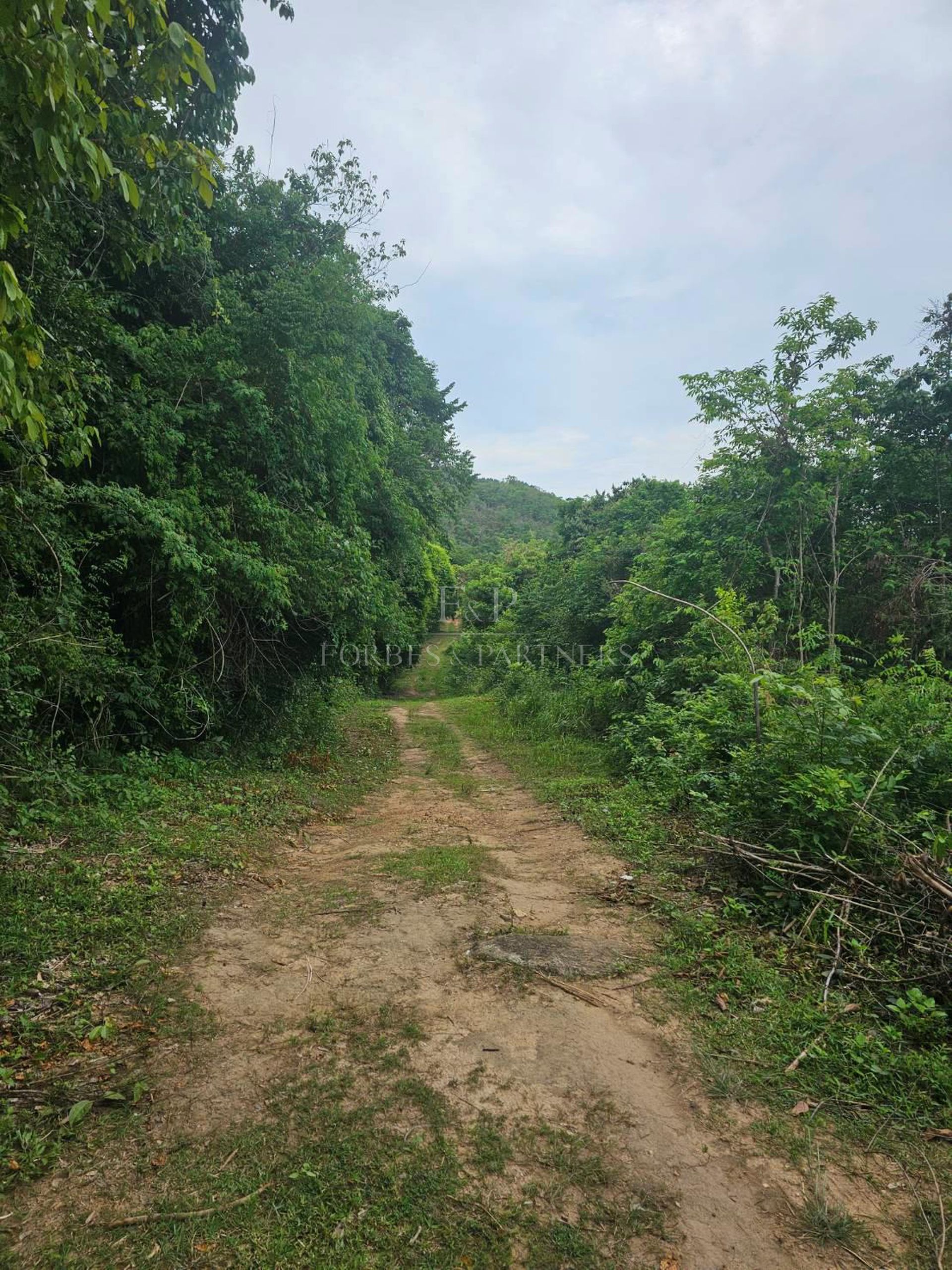 Prestigious 47-Rai Land Sea View Investment Opportunity in Bo Phut, Koh Samui - Bo Phut, Ko Samui, Thailand