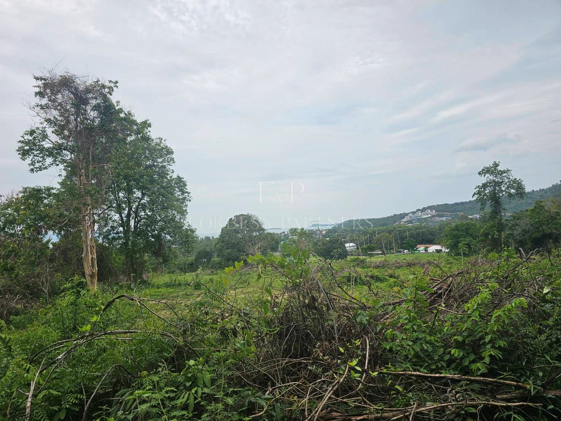 Prestigious 47-Rai Land Sea View Investment Opportunity in Bo Phut, Koh Samui - Bo Phut, Ko Samui, Thailand
