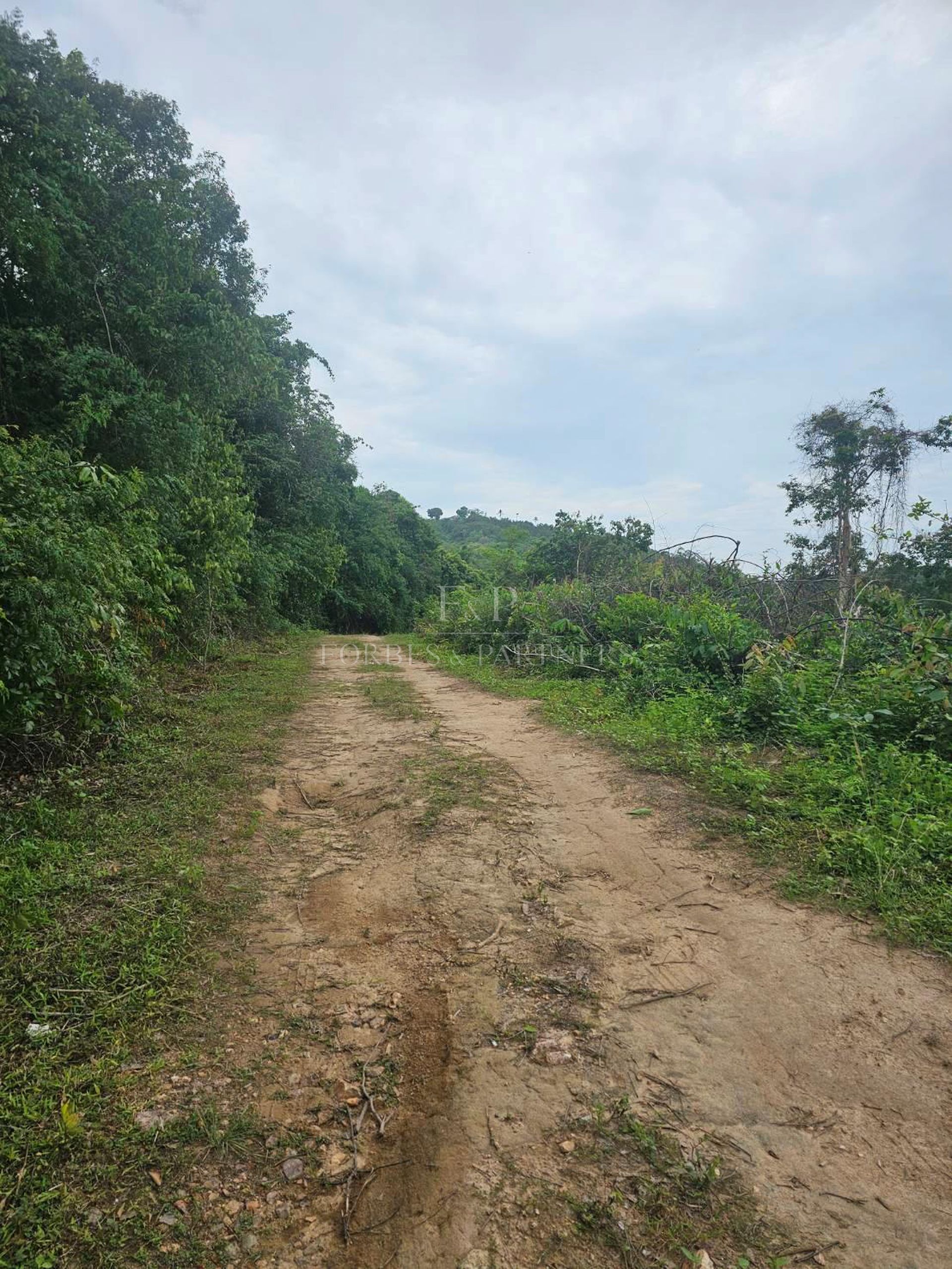 Prestigious 47-Rai Land Sea View Investment Opportunity in Bo Phut, Koh Samui - Bo Phut, Ko Samui, Thailand