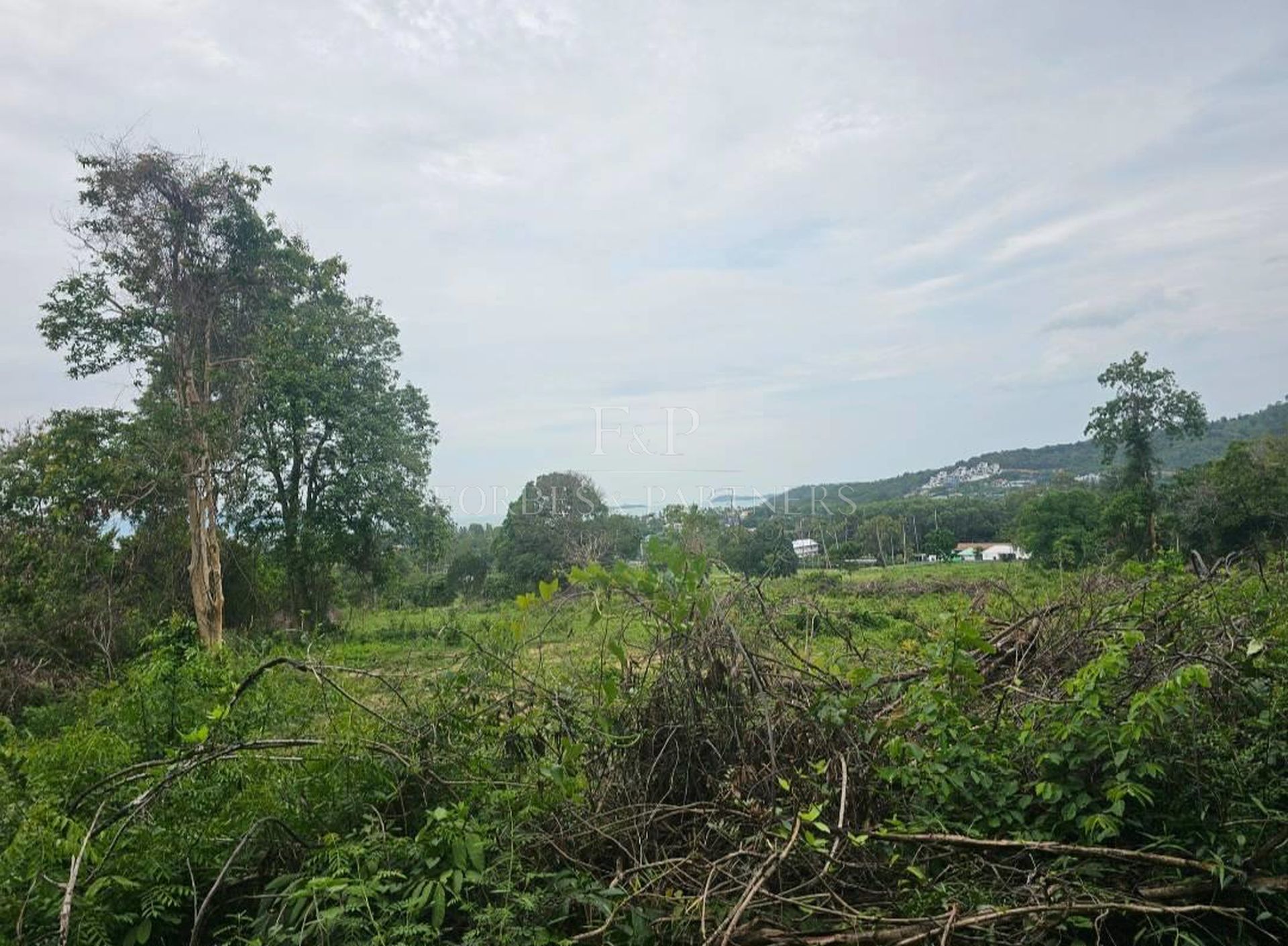 Prestigious 47-Rai Land Sea View Investment Opportunity in Bo Phut, Koh Samui - Bo Phut, Ko Samui, Thailand