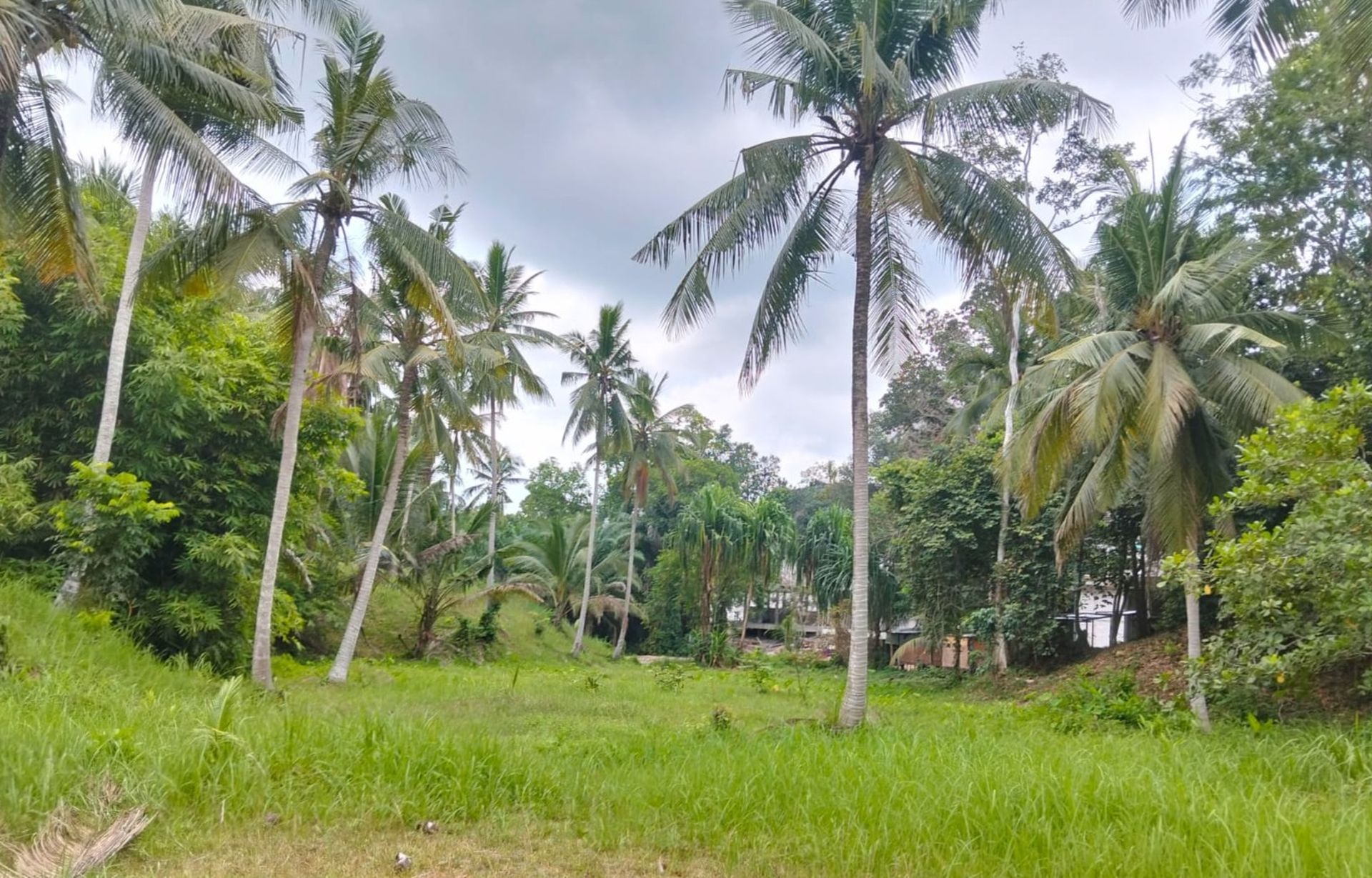 Exceptional 5,412 sqm Development Land for Sale Koh Phangan Near Thongsala Pier - Ko Pha-ngan, Thailand
