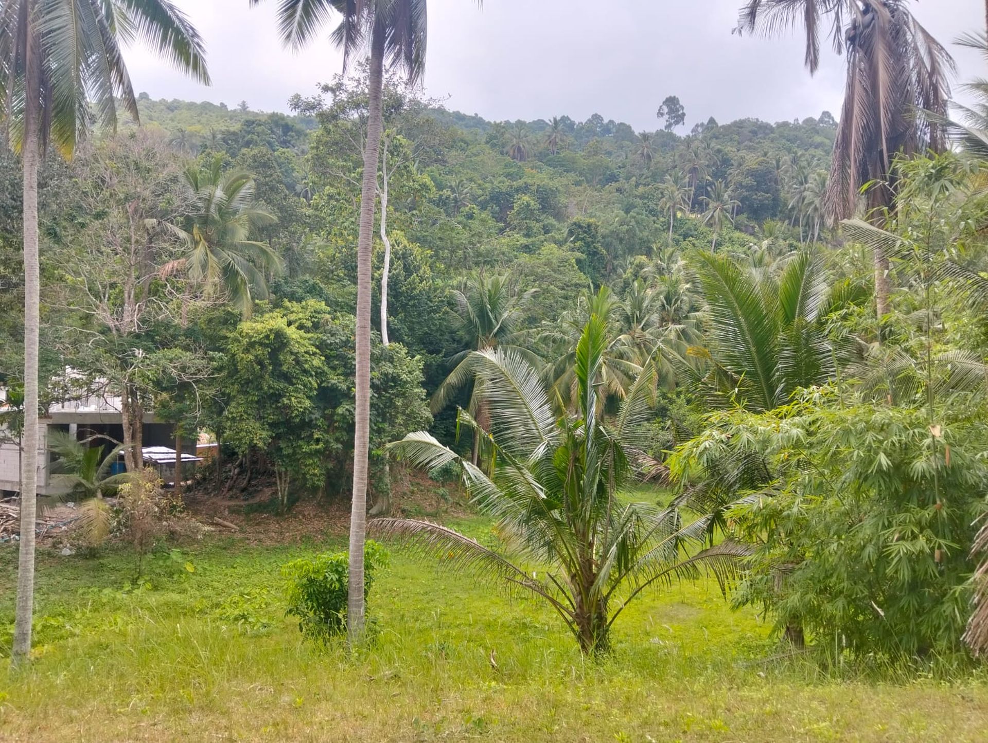 Exceptional 5,412 sqm Development Land for Sale Koh Phangan Near Thongsala Pier - Ko Pha-ngan, Thailand