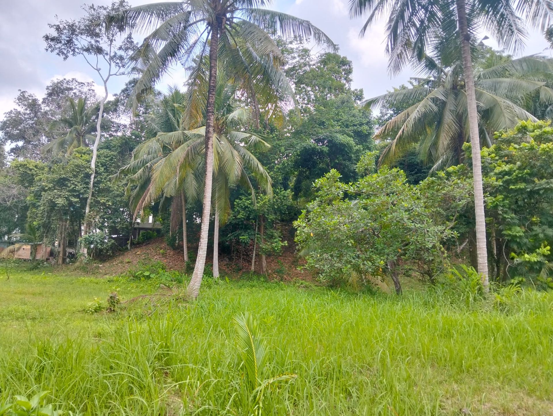Exceptional 5,412 sqm Development Land for Sale Koh Phangan Near Thongsala Pier - Ko Pha-ngan, Thailand