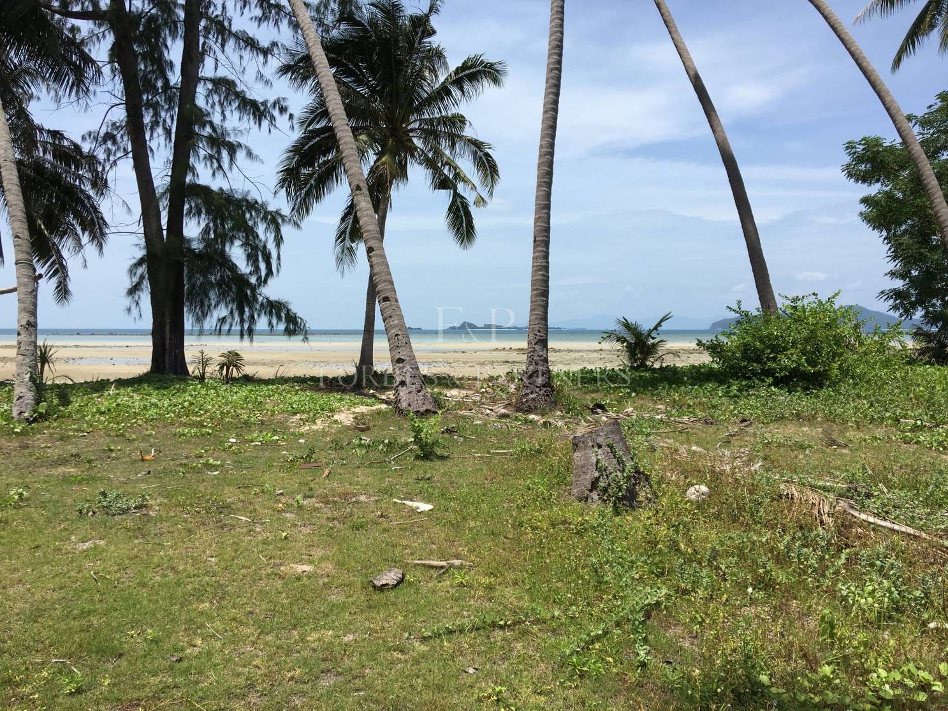 Strategic 31 Rai Land Parcel in Bang Kao, Koh Samui: Ideal for Large-Scale Projects - Bang Kao, Ko Samui, Thailand