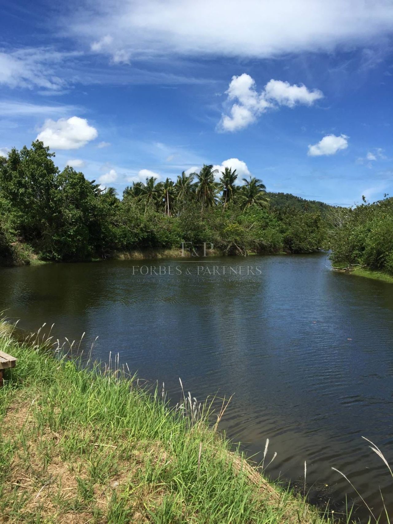 Strategic 31 Rai Land Parcel in Bang Kao, Koh Samui: Ideal for Large-Scale Projects - Bang Kao, Ko Samui, Thailand