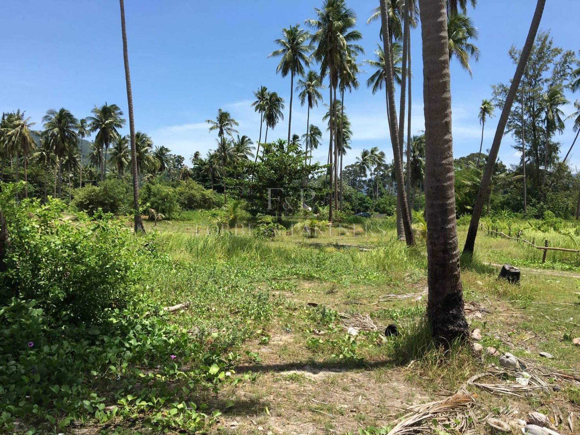 Strategic 31 Rai Land Parcel in Bang Kao, Koh Samui: Ideal for Large-Scale Projects - Bang Kao, Ko Samui, Thailand