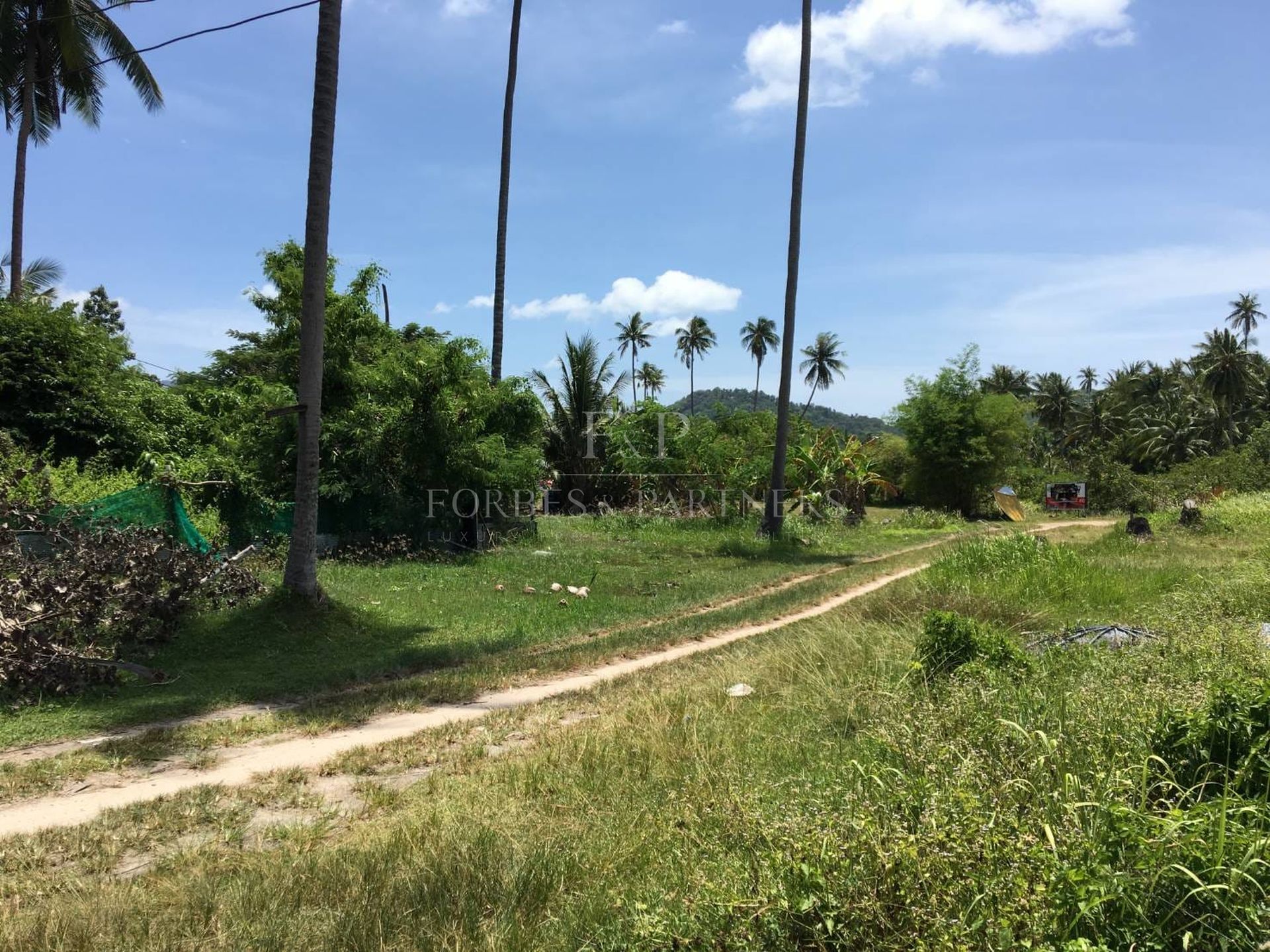 Strategic 31 Rai Land Parcel in Bang Kao, Koh Samui: Ideal for Large-Scale Projects - Bang Kao, Ko Samui, Thailand