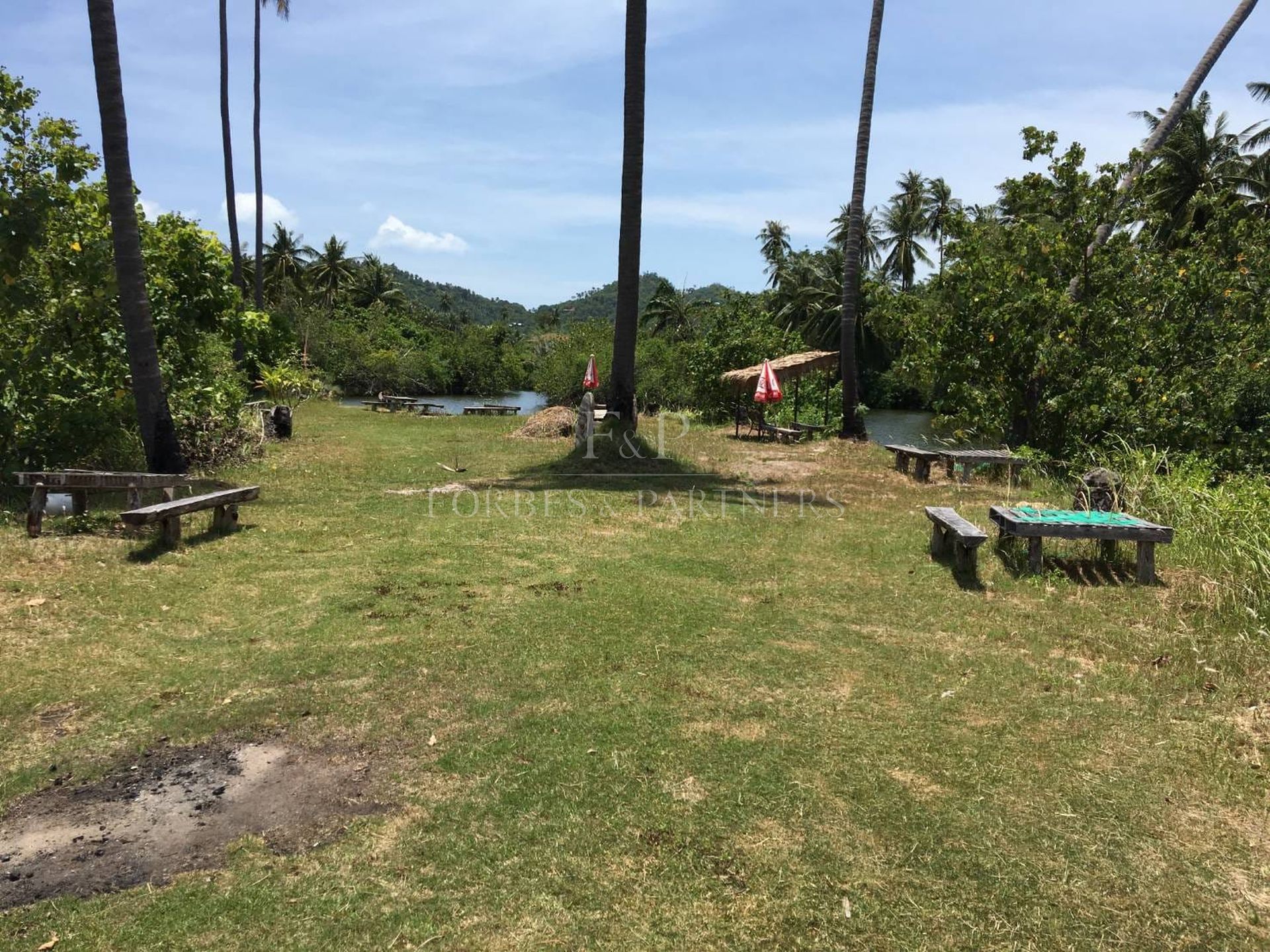 Strategic 31 Rai Land Parcel in Bang Kao, Koh Samui: Ideal for Large-Scale Projects - Bang Kao, Ko Samui, Thailand