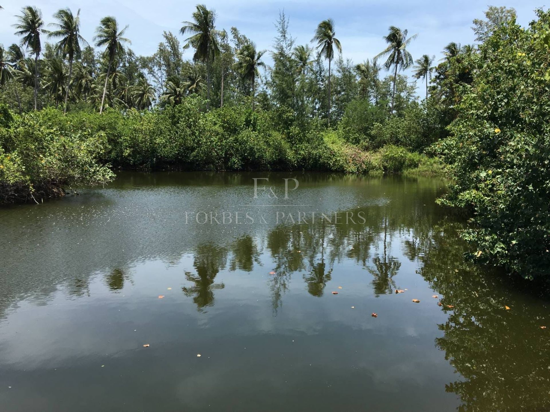 Strategic 31 Rai Land Parcel in Bang Kao, Koh Samui: Ideal for Large-Scale Projects - Bang Kao, Ko Samui, Thailand